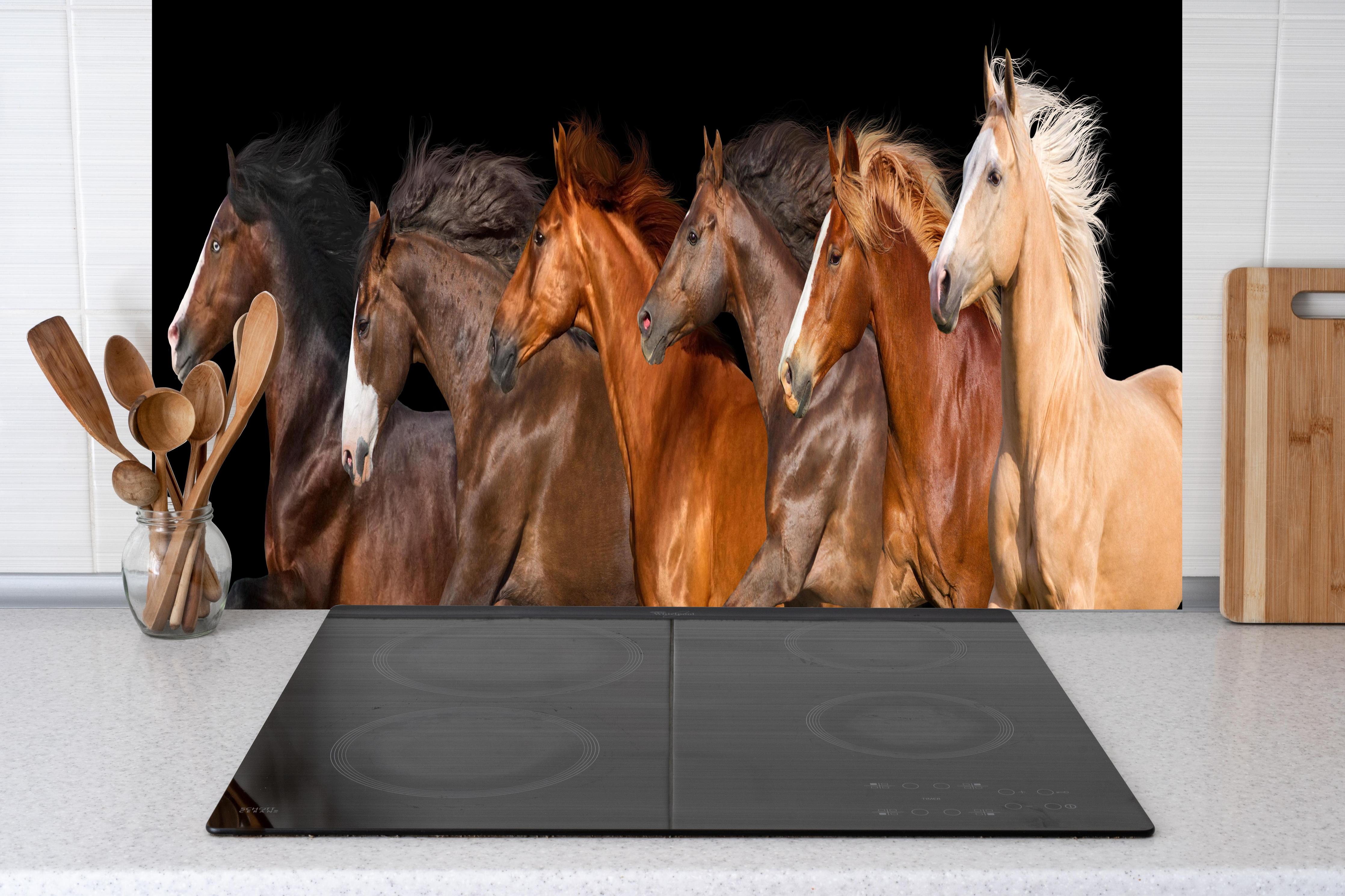 Küche - Herde galoppierender Pferde auf Schwarz hinter weißen Hochglanz-Küchenregalen und schwarzem Wasserhahn