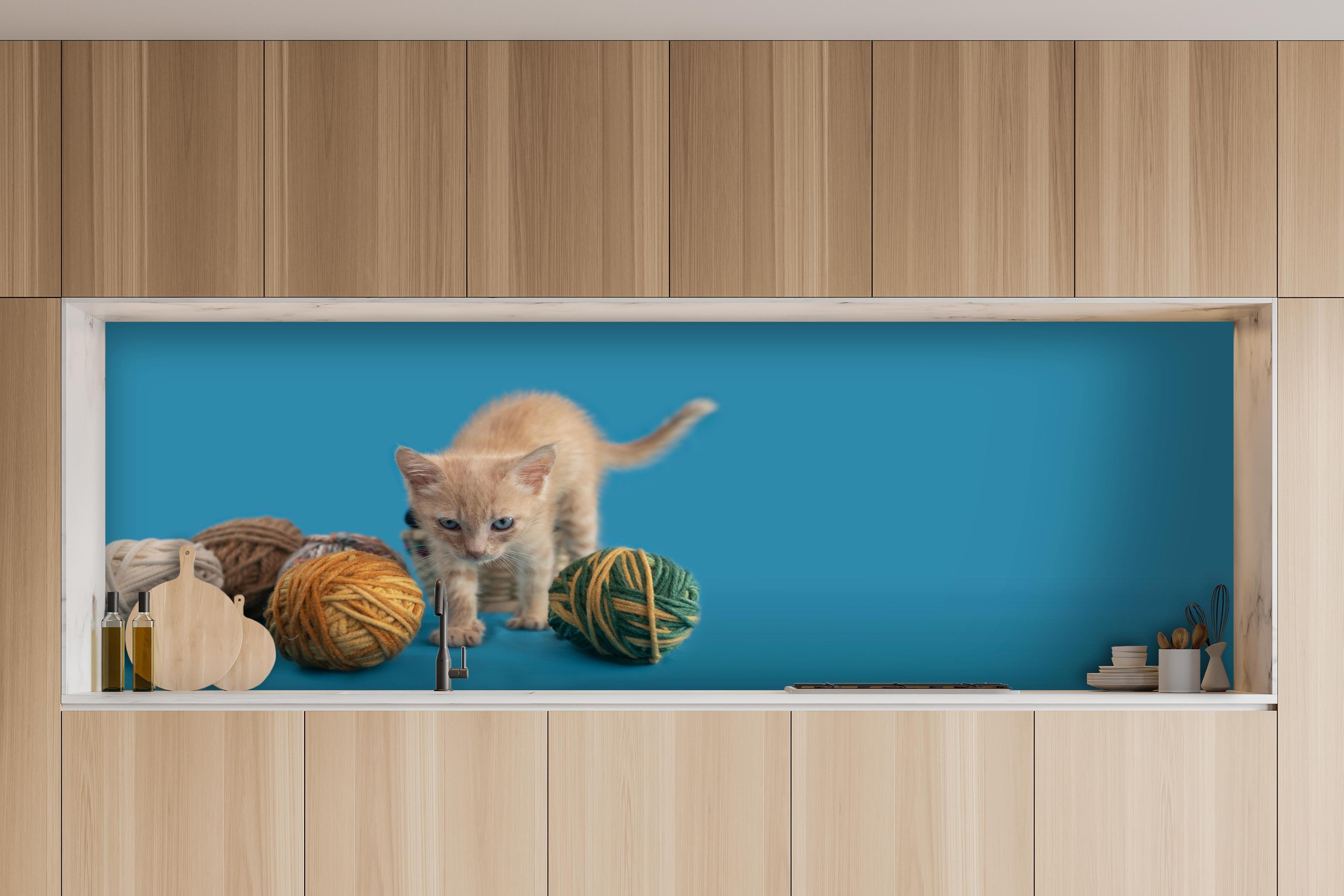 Küche - Katzenbaby spielt mit Wollknollen hinter weißen Hochglanz-Küchenregalen und schwarzem Wasserhahn