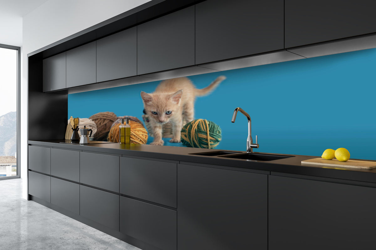 Küche - Katzenbaby spielt mit Wollknollen hinter weißen Hochglanz-Küchenregalen und schwarzem Wasserhahn