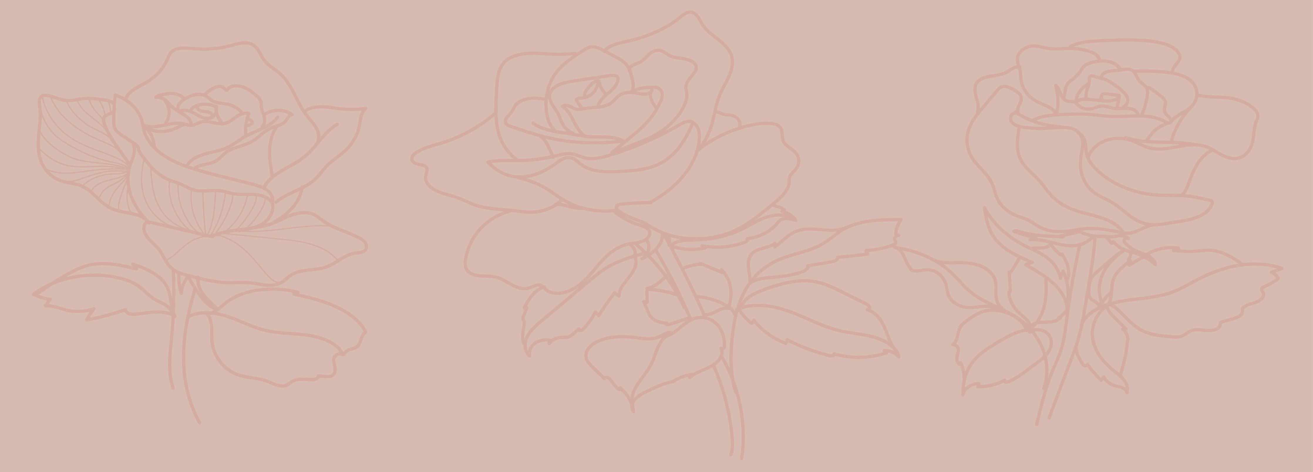 Küchenrückwand-Konturzeichnung drei stilisierter Rosen