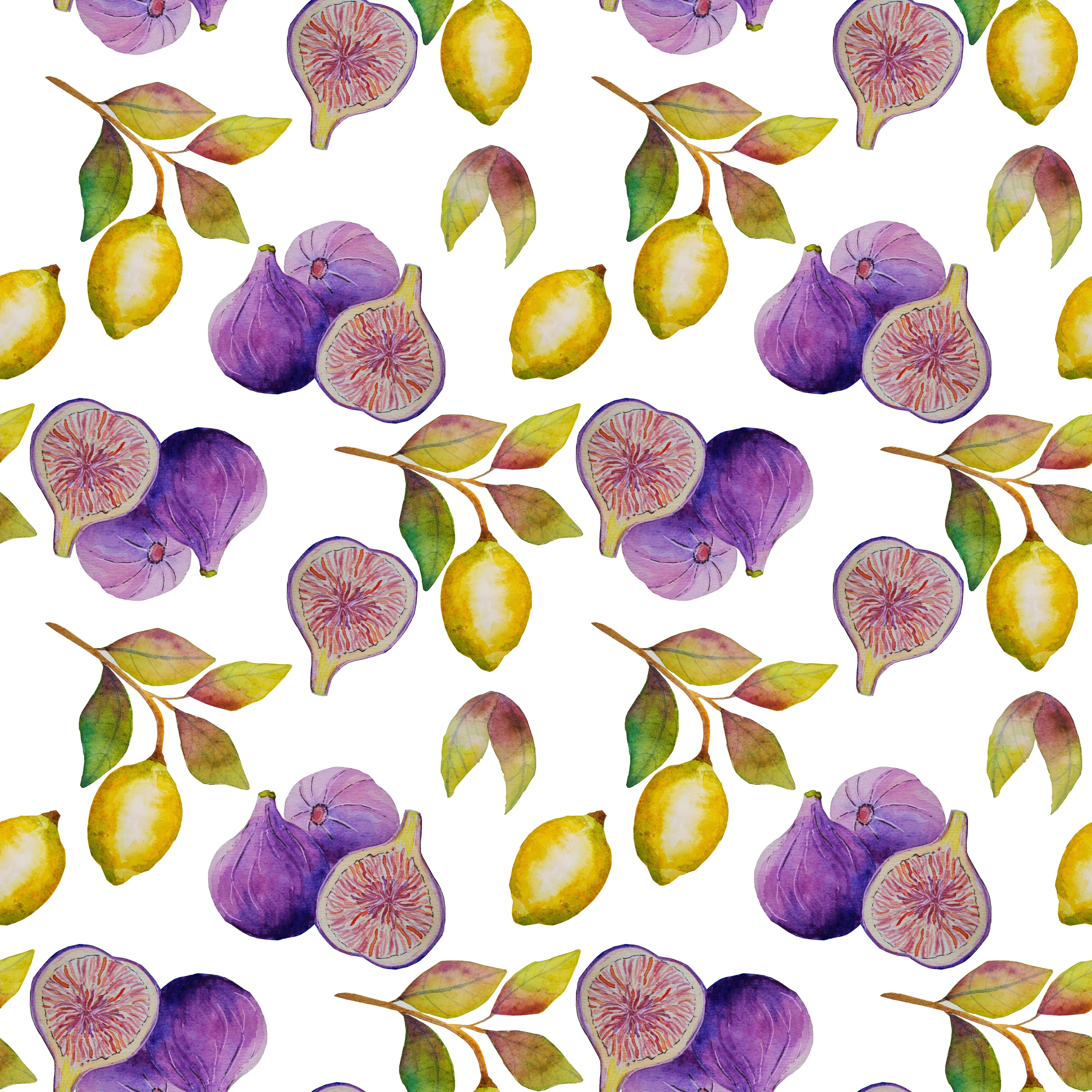 Küchenrückwand-Aquarell-Feigen & Zitronen