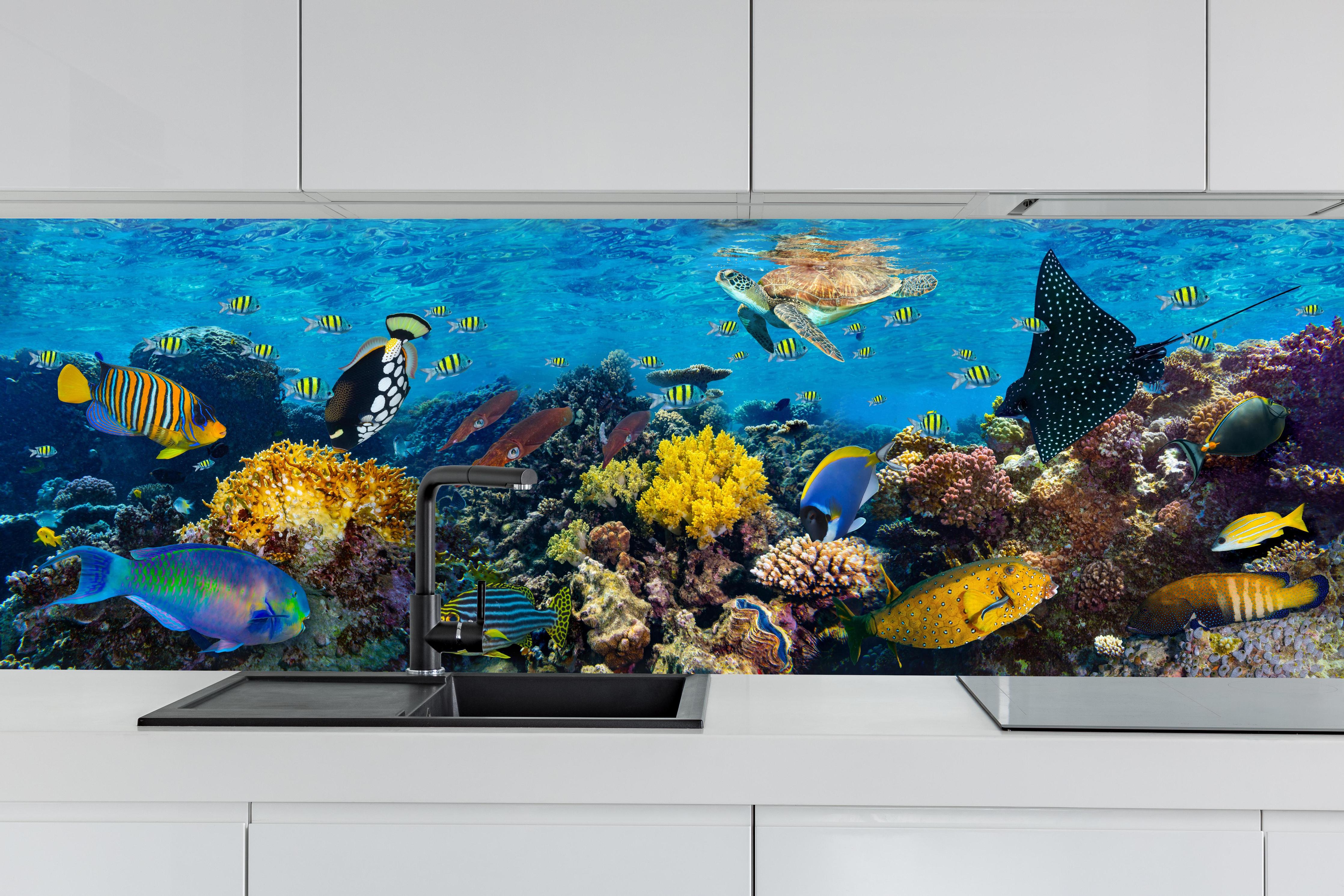 Küche - Buntes Korallenriff Panorama hinter weißen Hochglanz-Küchenregalen und schwarzem Wasserhahn