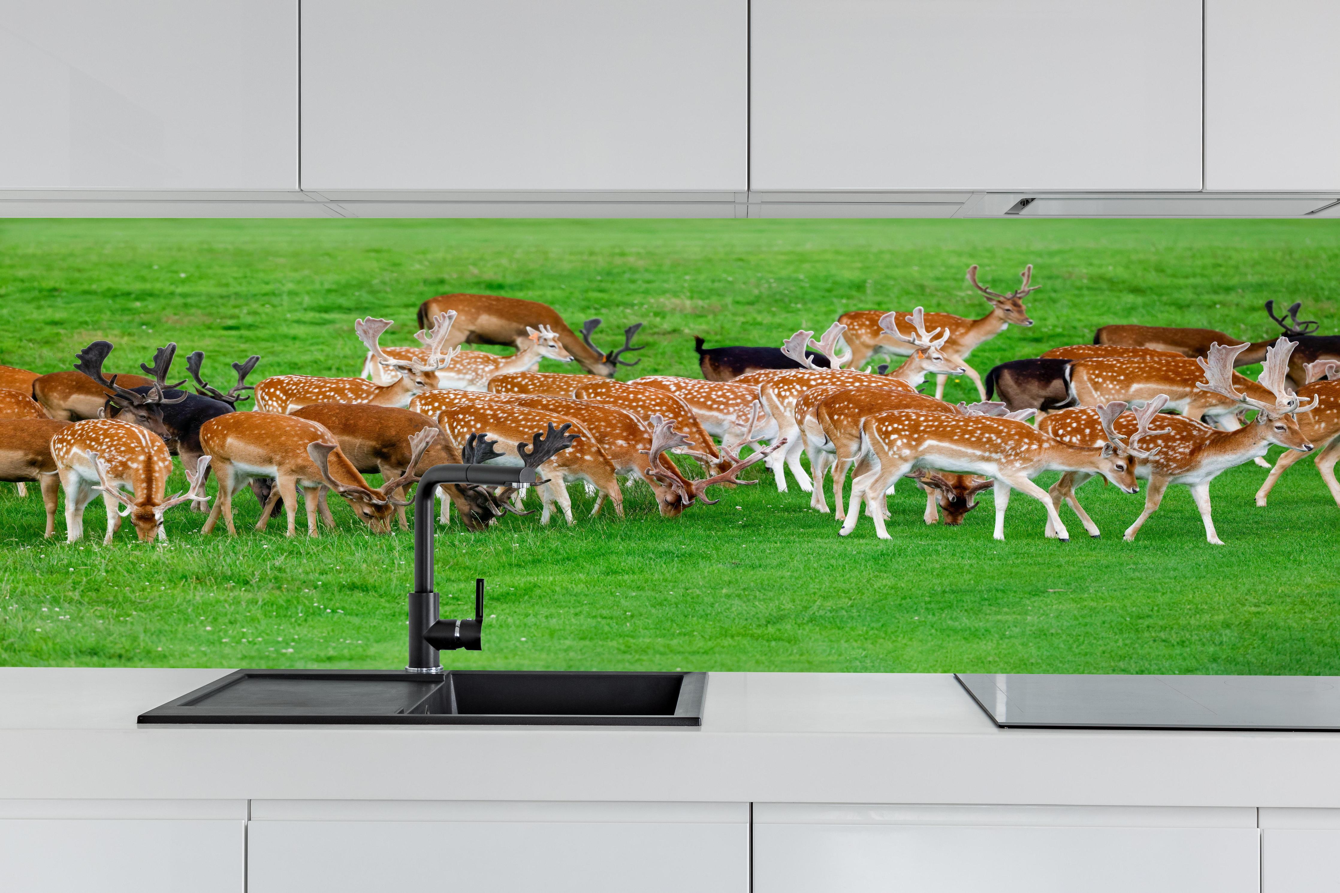 Küche - Damwild-Herde auf grüner Wiese hinter weißen Hochglanz-Küchenregalen und schwarzem Wasserhahn