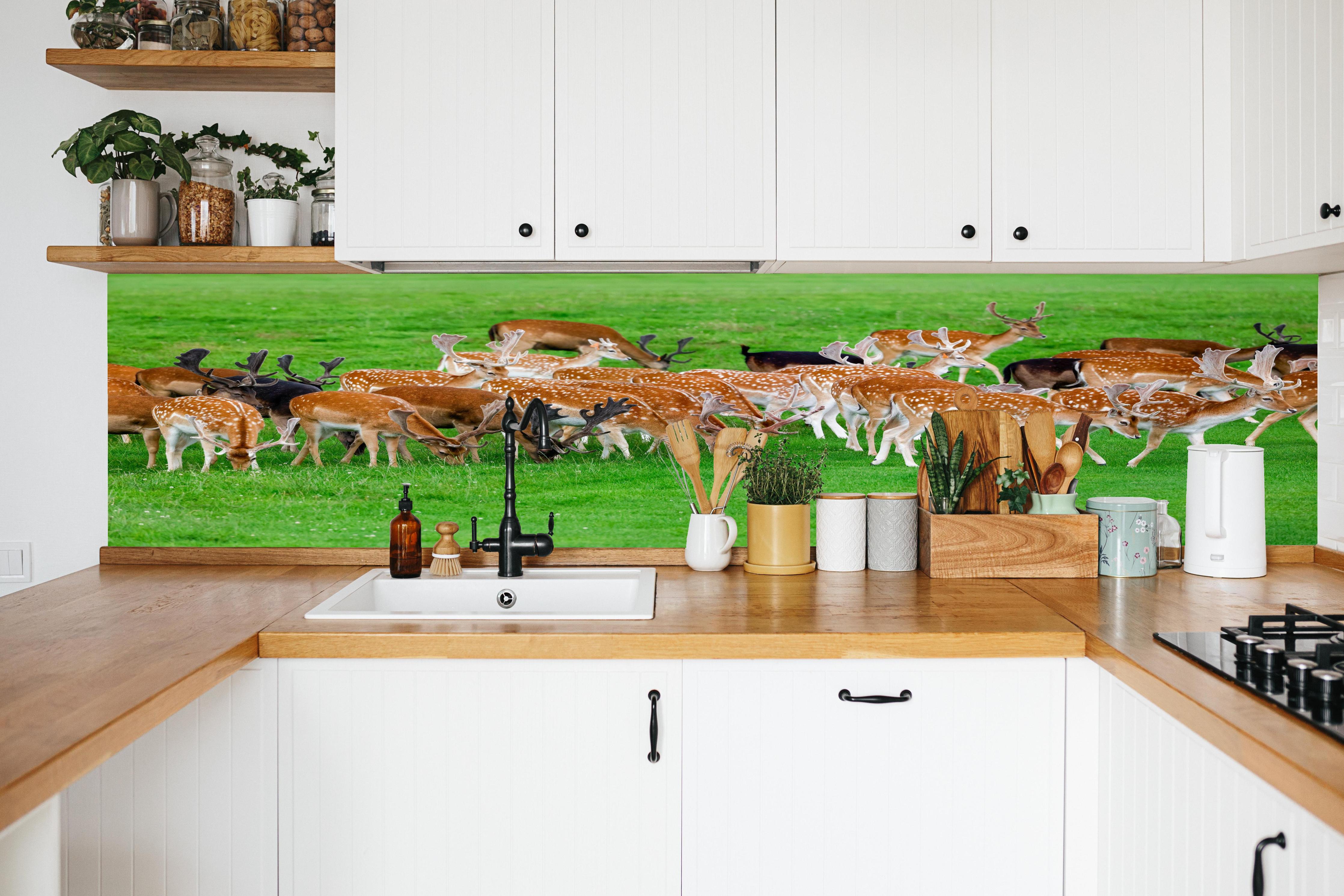 Küche - Damwild-Herde auf grüner Wiese in weißer Küche hinter Gewürzen und Kochlöffeln aus Holz