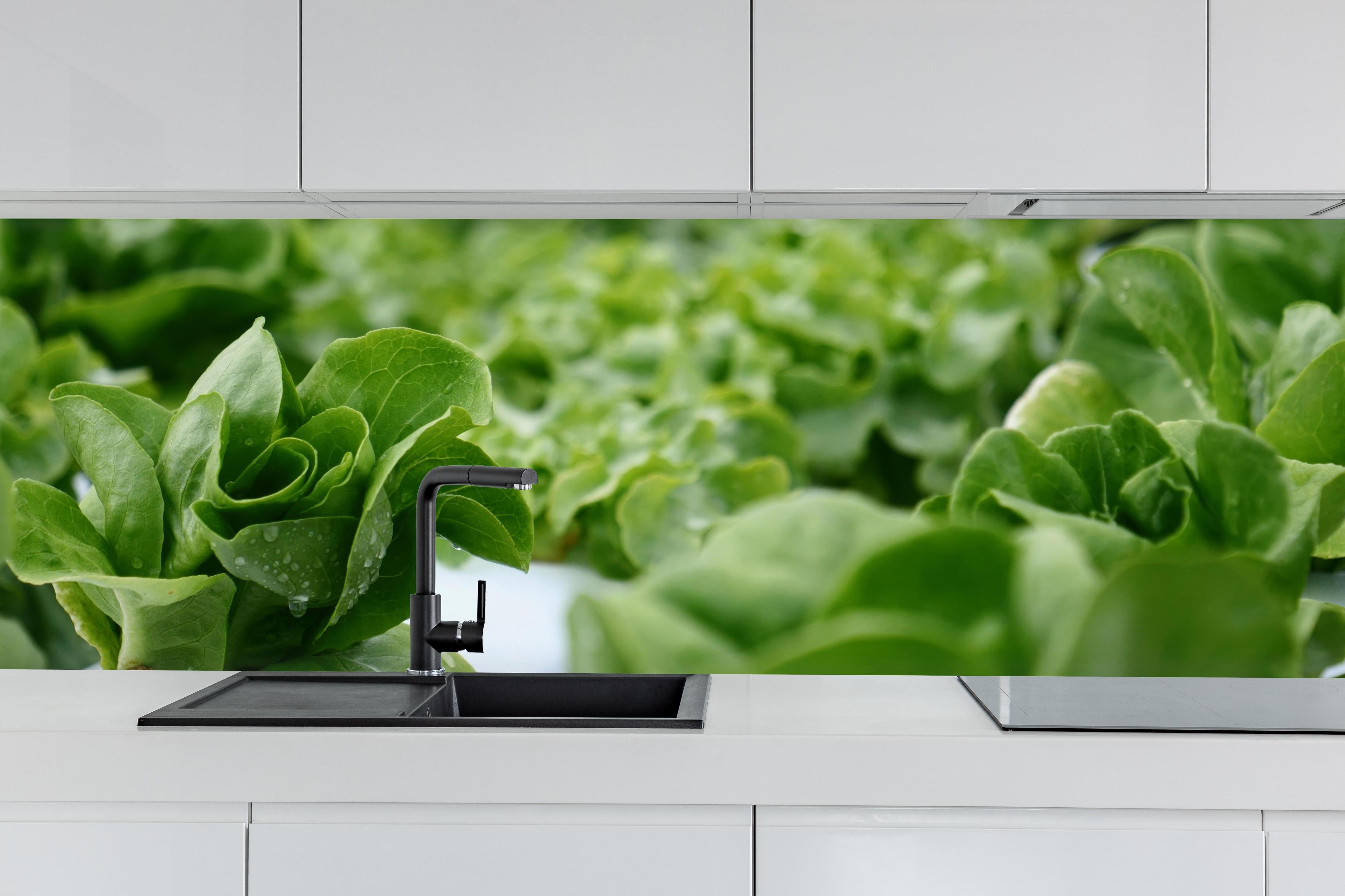 Küche - Frische Grüne Salatblätter hinter weißen Hochglanz-Küchenregalen und schwarzem Wasserhahn