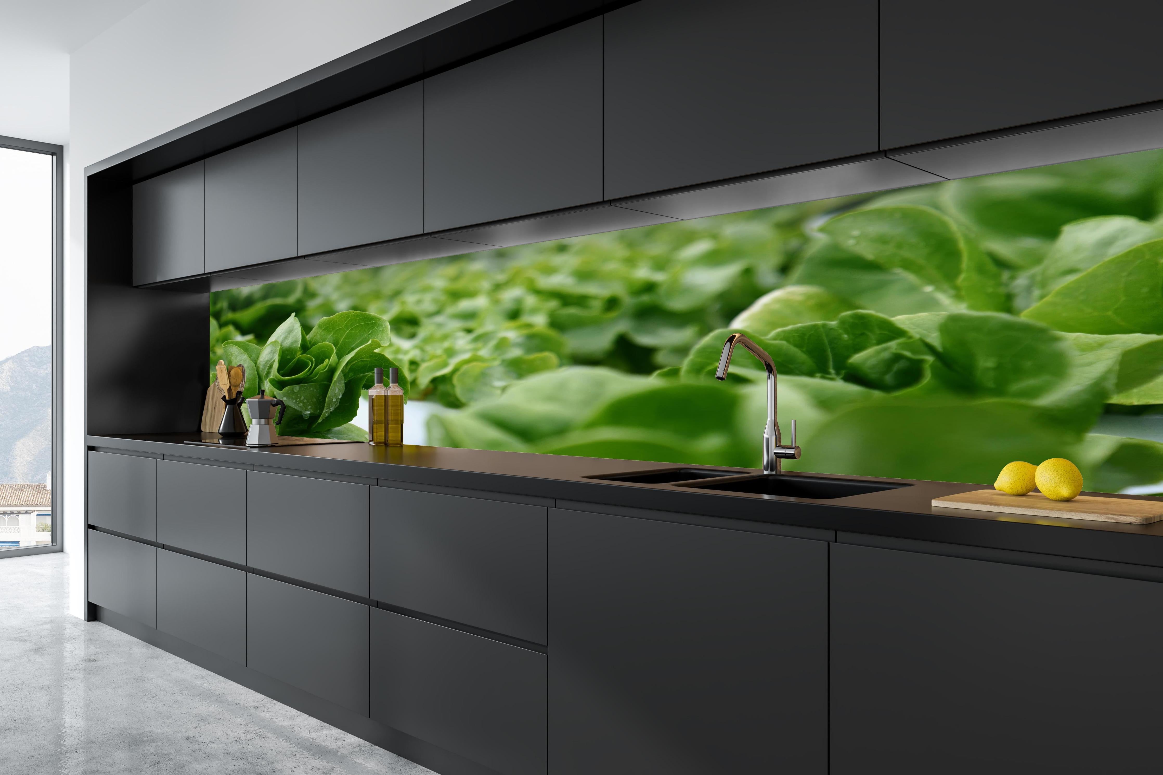 Küche - Frische Grüne Salatblätter in tiefschwarzer matt-premium Einbauküche