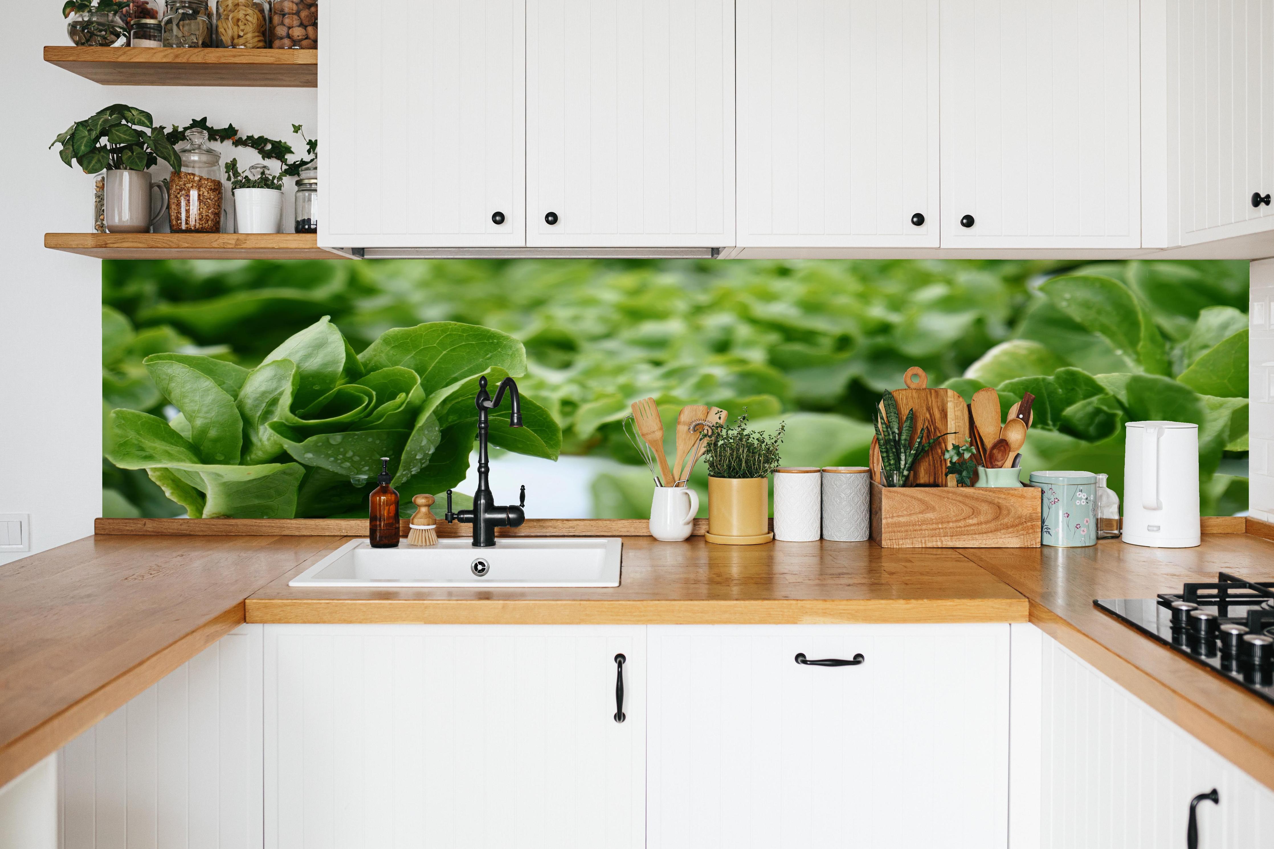 Küche - Frische Grüne Salatblätter in weißer Küche hinter Gewürzen und Kochlöffeln aus Holz