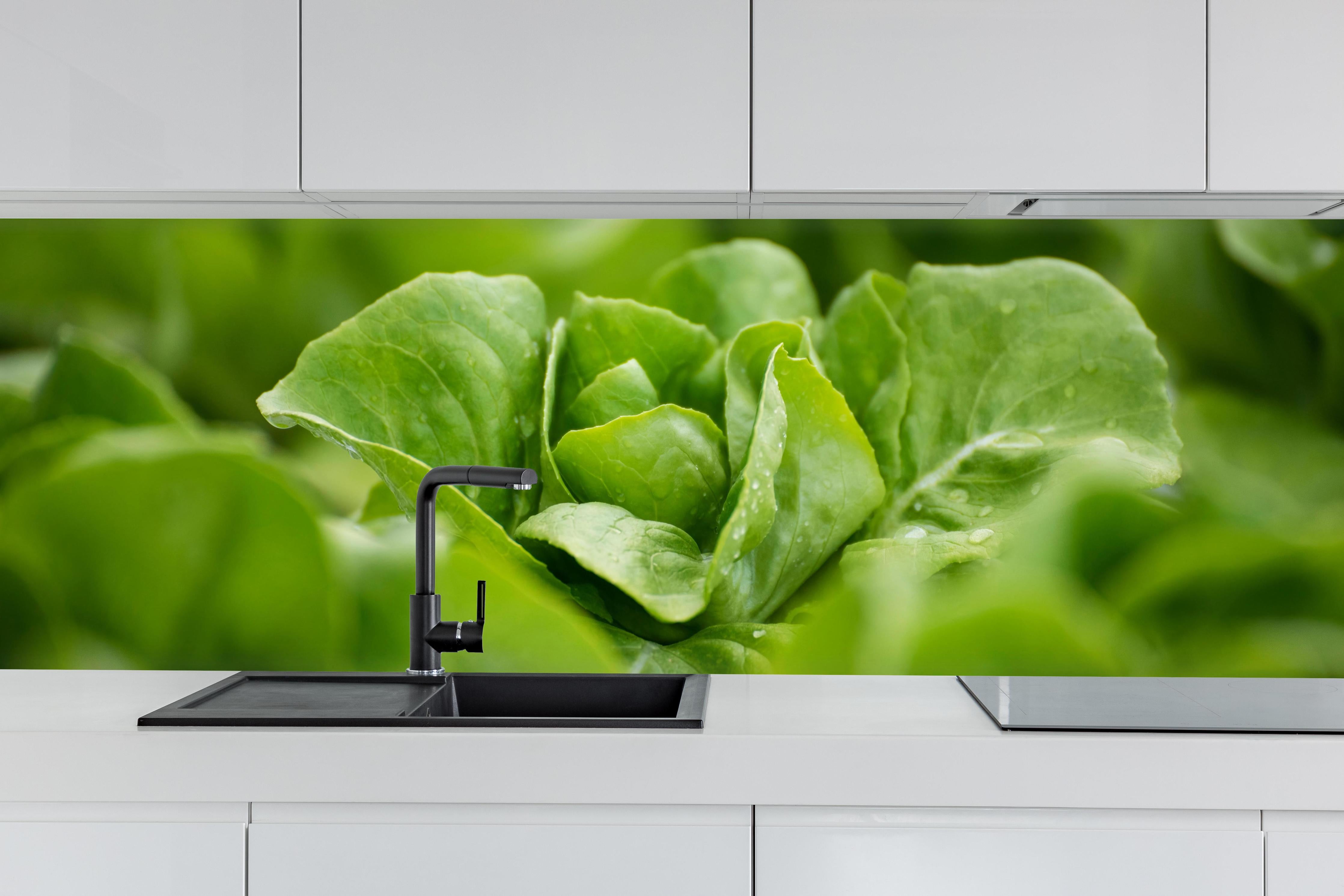 Küche - Frischer Feldsalat Grün hinter weißen Hochglanz-Küchenregalen und schwarzem Wasserhahn