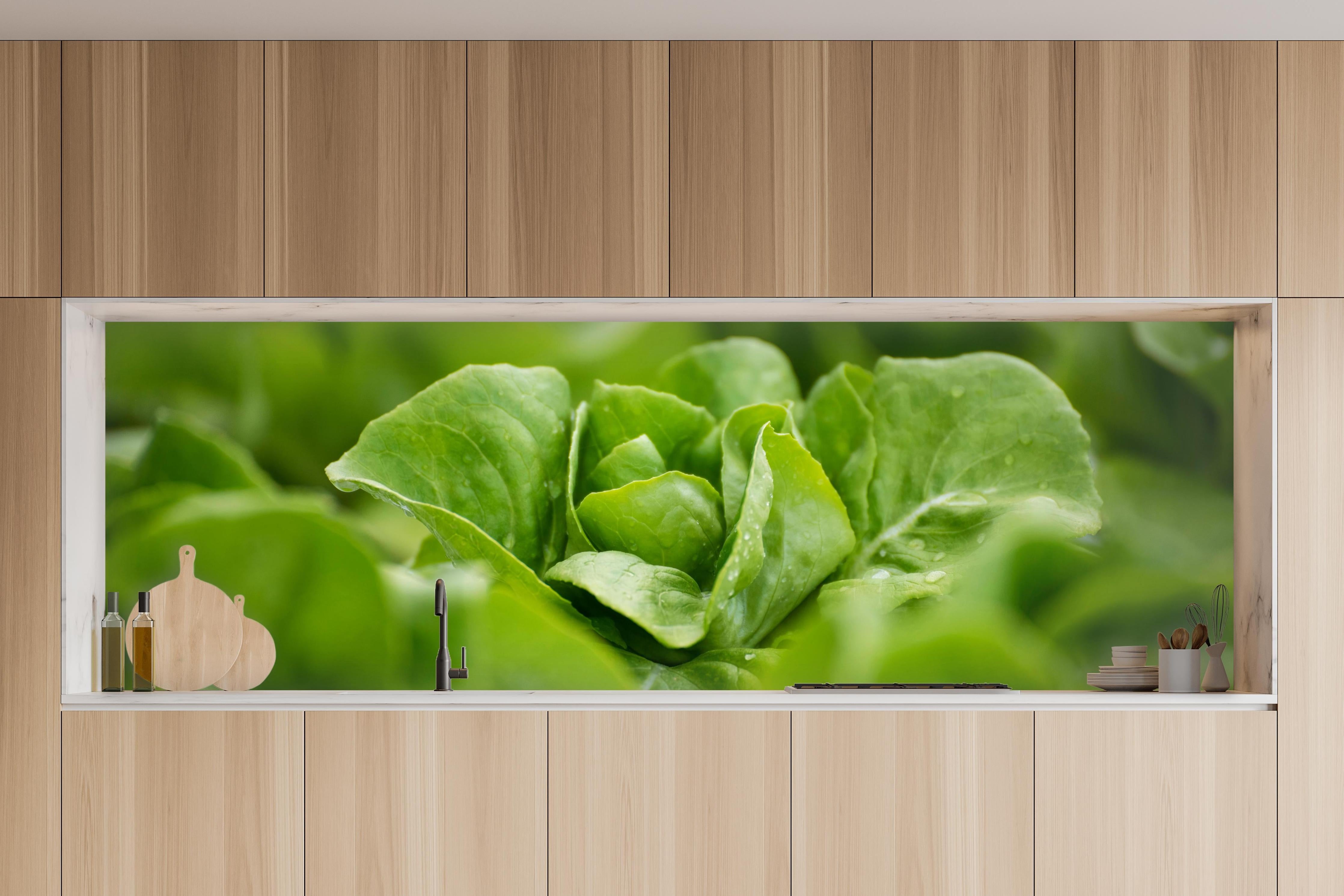 Küche - Frischer Feldsalat Grün in charakteristischer Vollholz-Küche mit modernem Gasherd