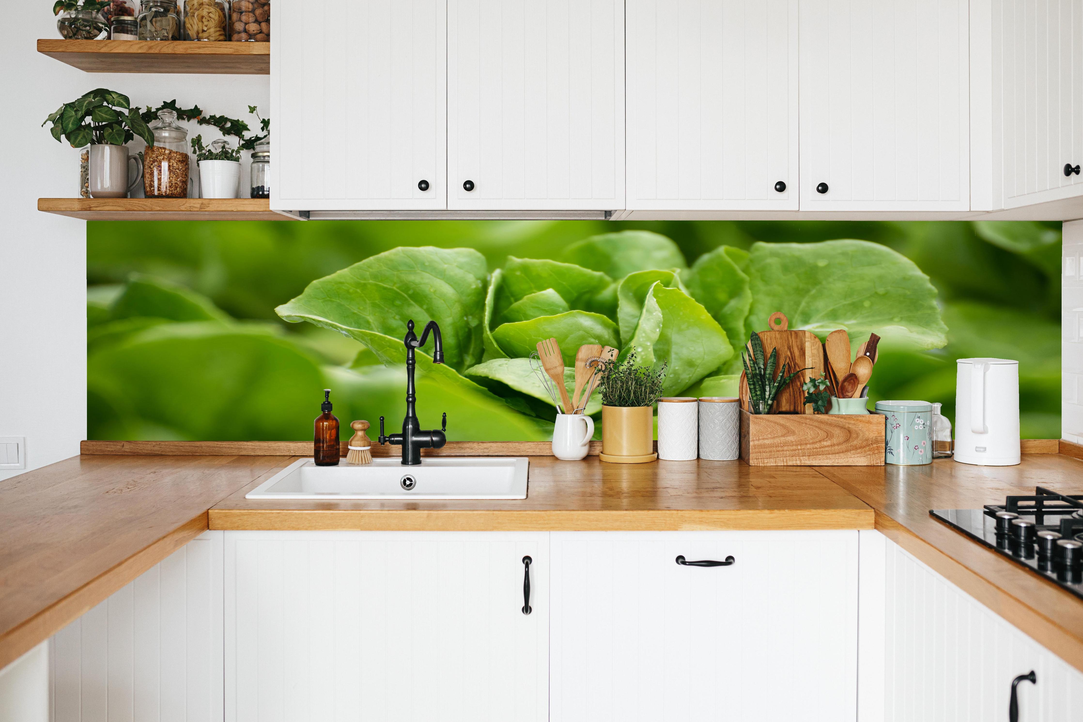 Küche - Frischer Feldsalat Grün in weißer Küche hinter Gewürzen und Kochlöffeln aus Holz