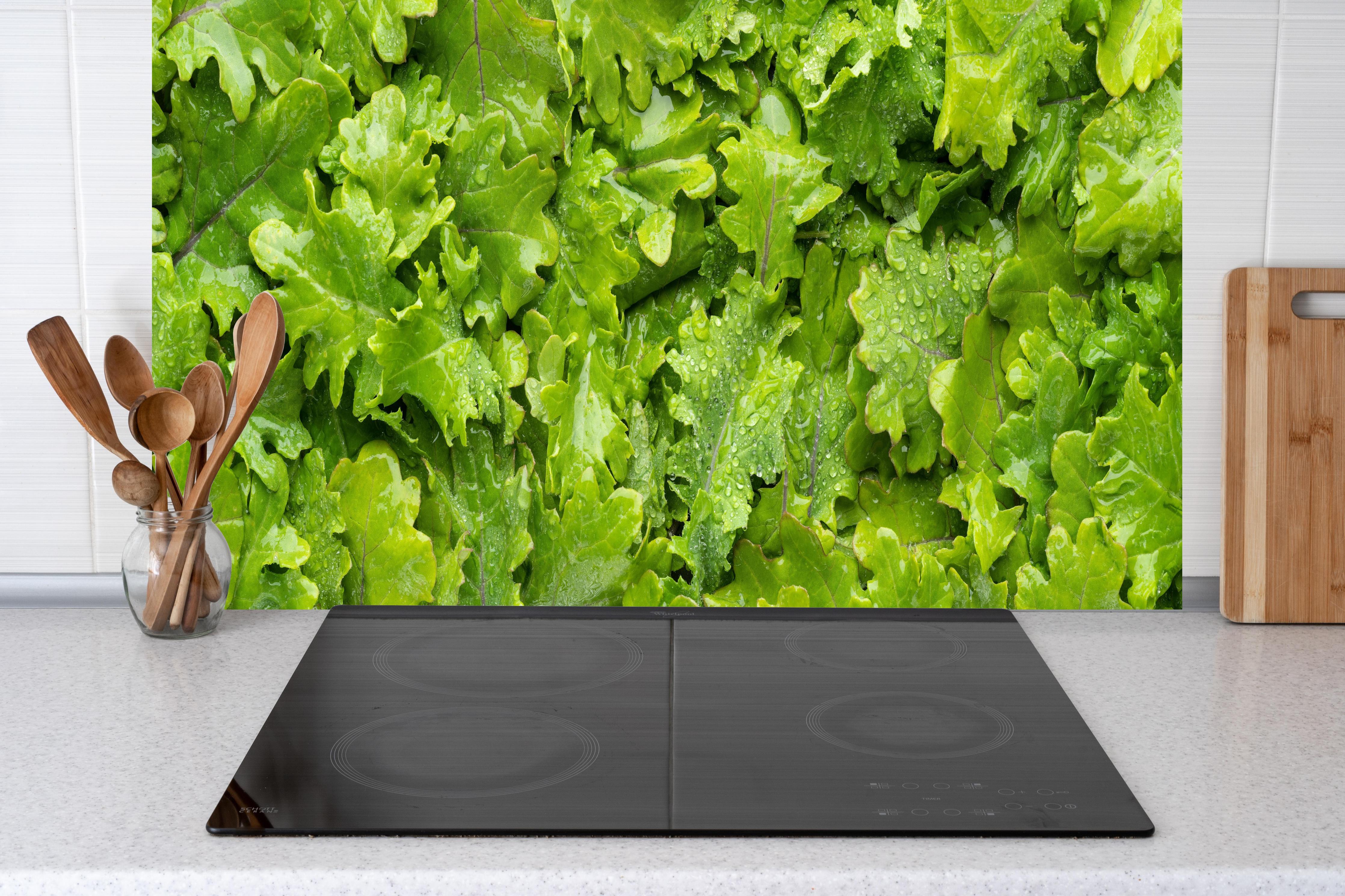 Küche - Frischer Rucola-Blätter-Hintergrund hinter Cerankochfeld und Holz-Kochutensilien