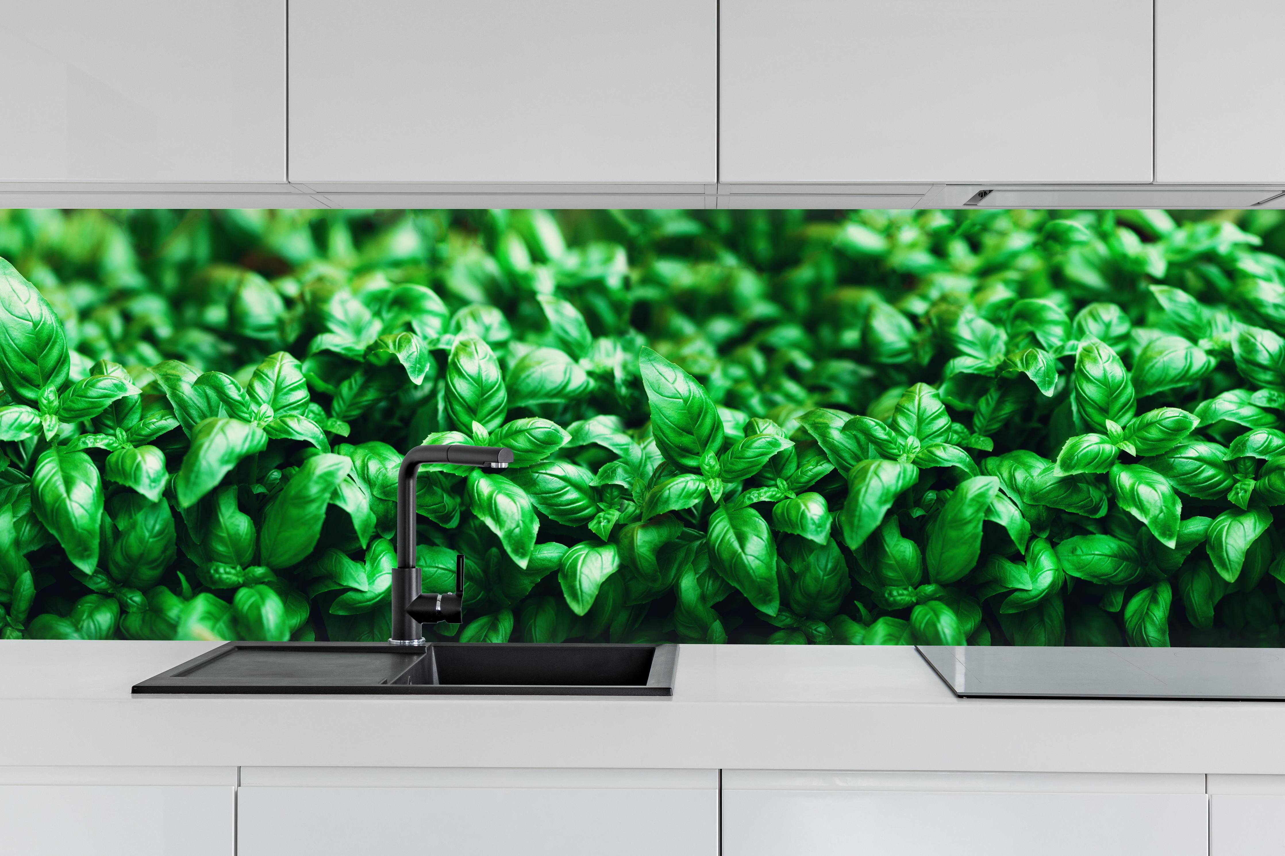 Küche - Frisches Basilikum Grün-Poster hinter weißen Hochglanz-Küchenregalen und schwarzem Wasserhahn