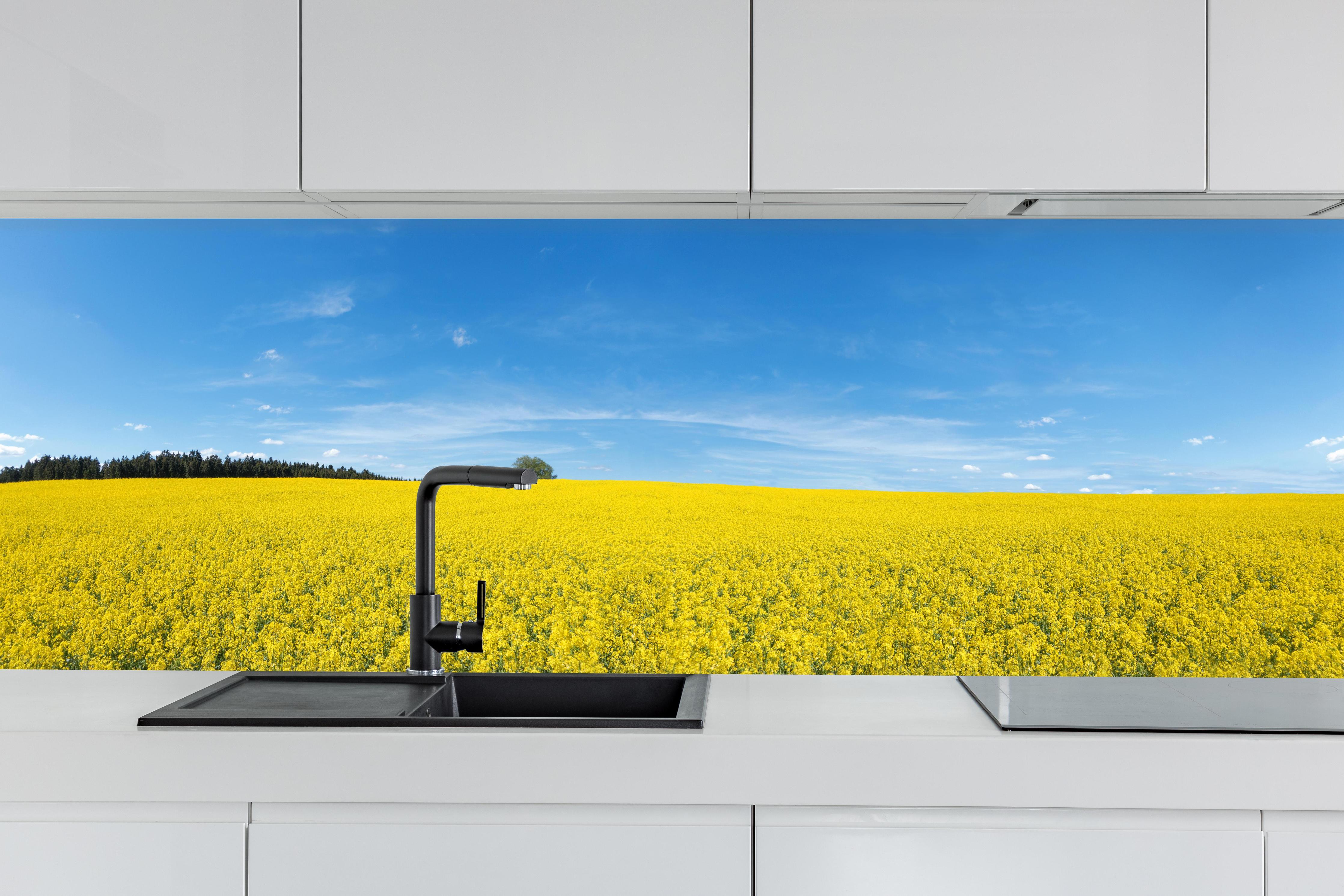 Küche - Gelbes Rapsfeld blauer Himmel hinter weißen Hochglanz-Küchenregalen und schwarzem Wasserhahn