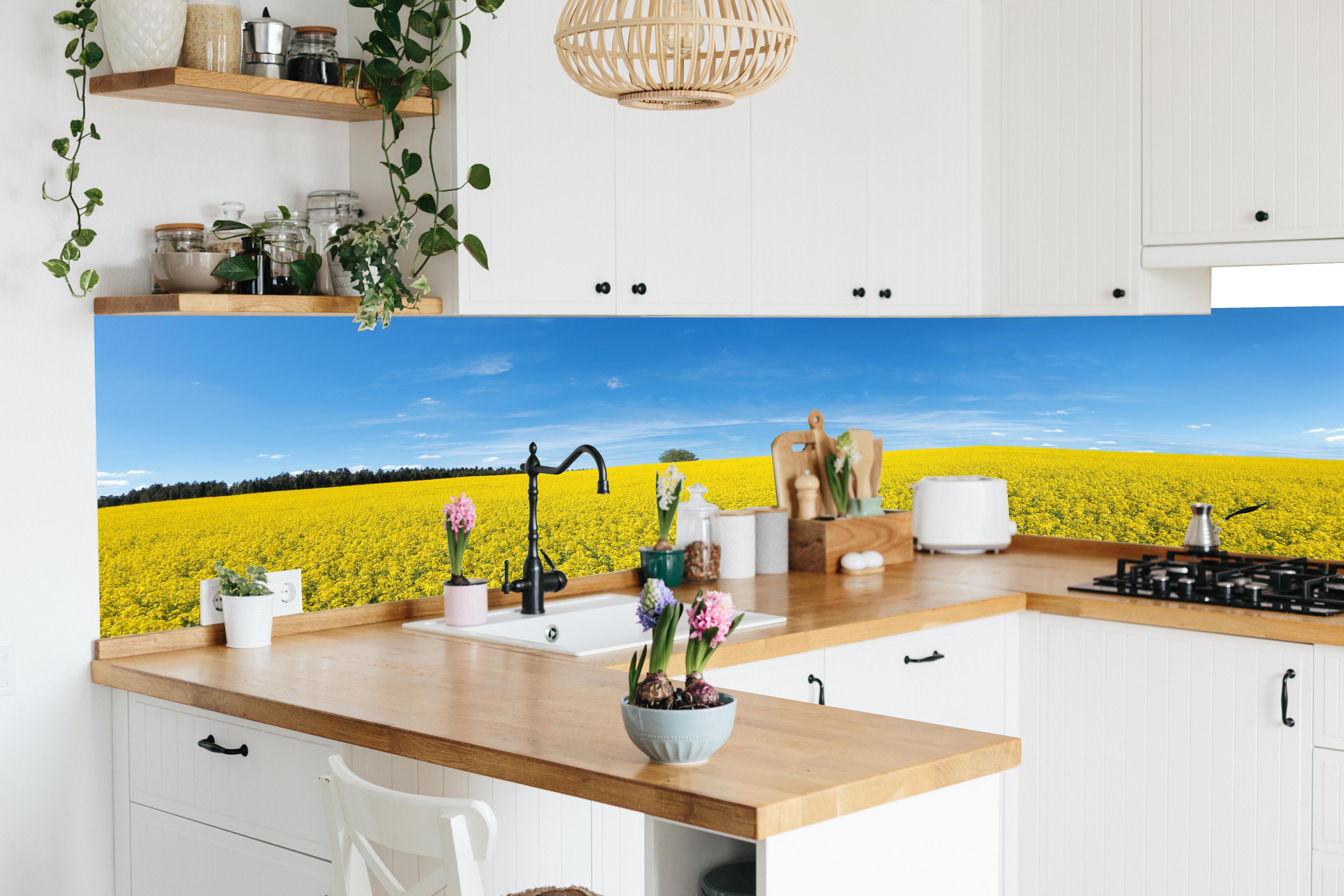Küche - Gelbes Rapsfeld blauer Himmel in lebendiger Küche mit bunten Blumen