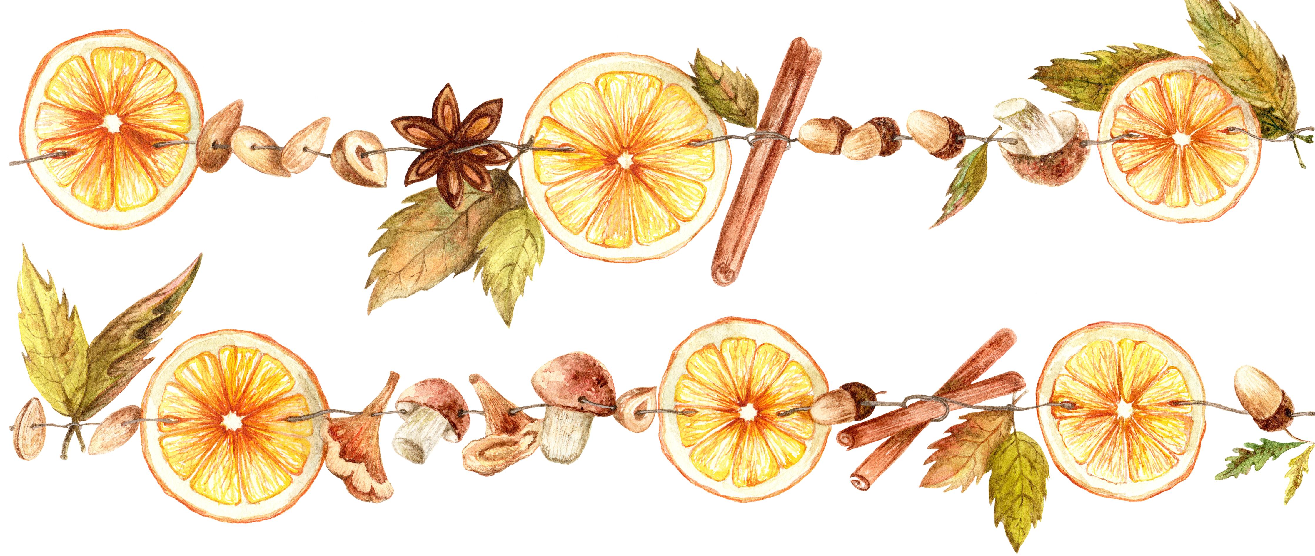 Küchenrückwand-Getrocknete Orangen und Gewürze