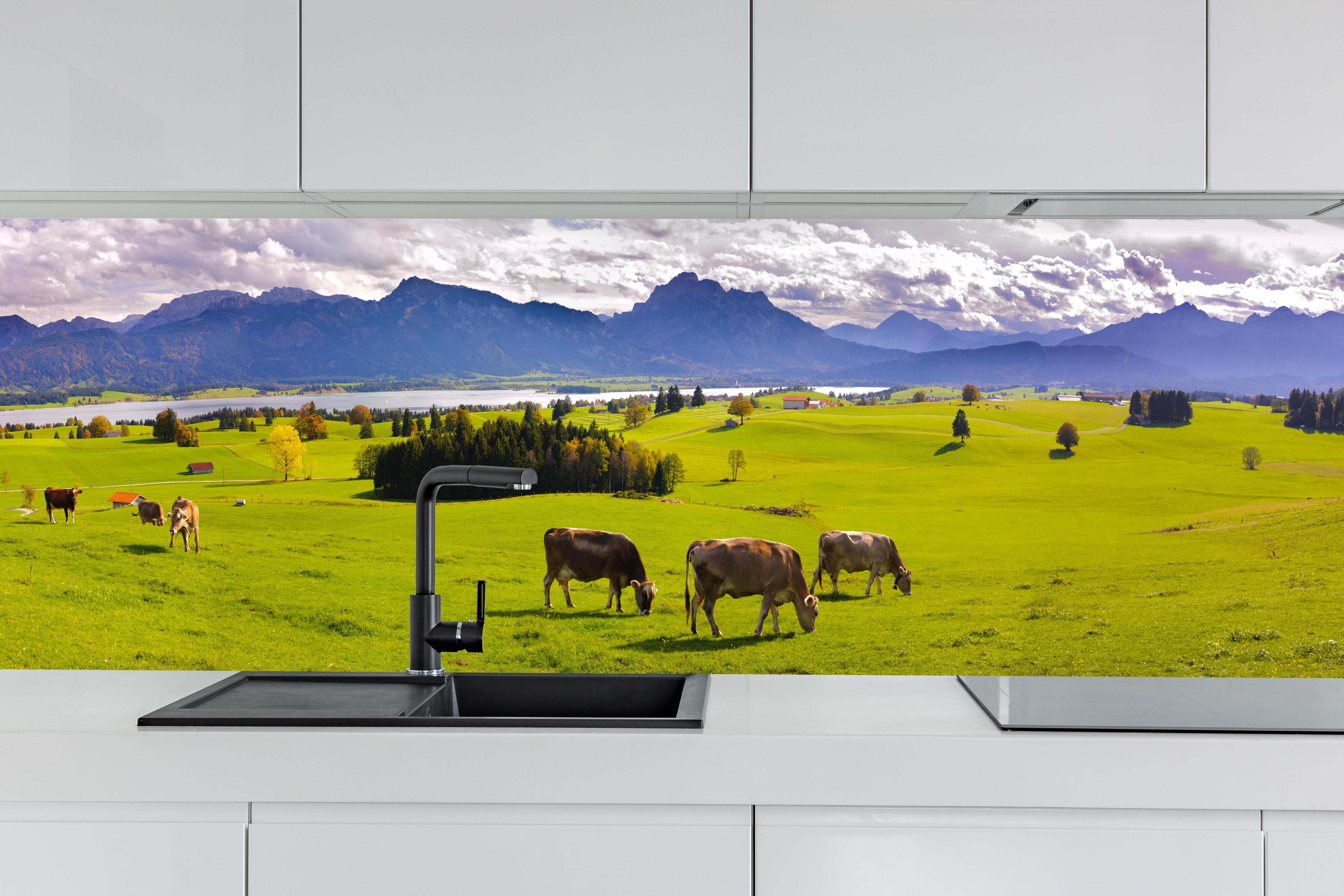 Küche - Grüne Bergwiese mit Kühen hinter weißen Hochglanz-Küchenregalen und schwarzem Wasserhahn