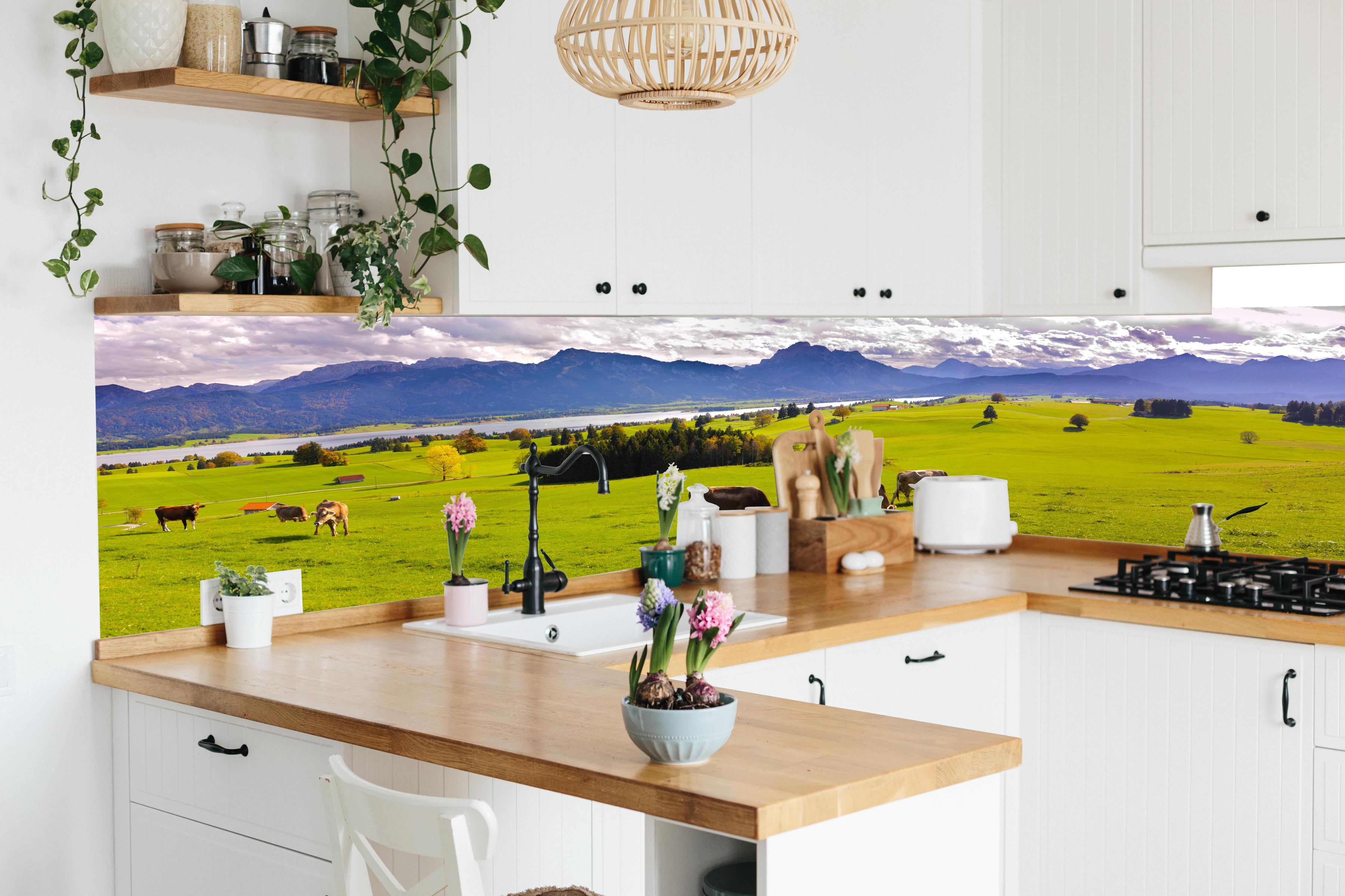 Küche - Grüne Bergwiese mit Kühen in lebendiger Küche mit bunten Blumen