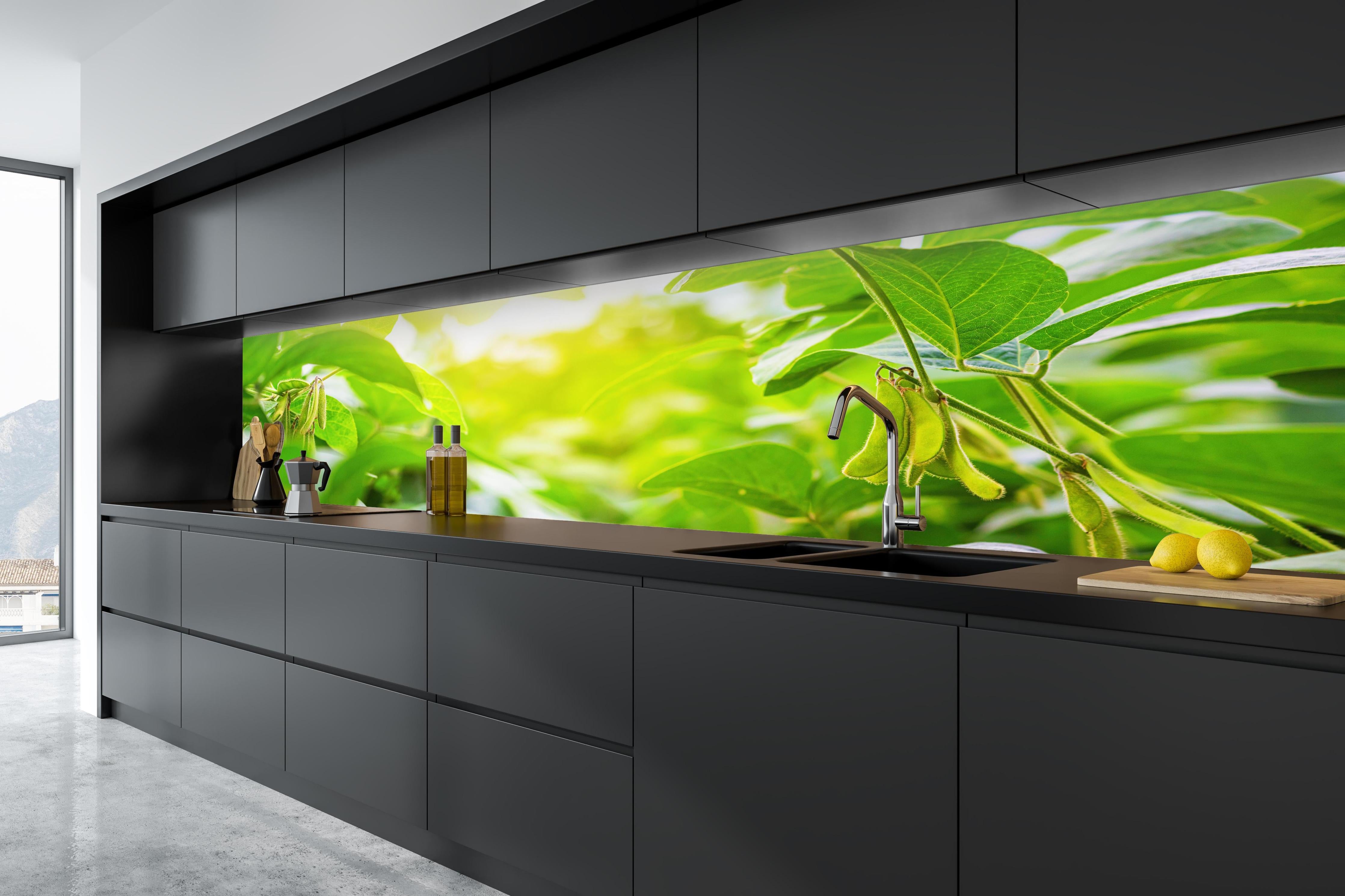 Küche - Grüne Kräuterpflanze im Sonnenlicht in tiefschwarzer matt-premium Einbauküche