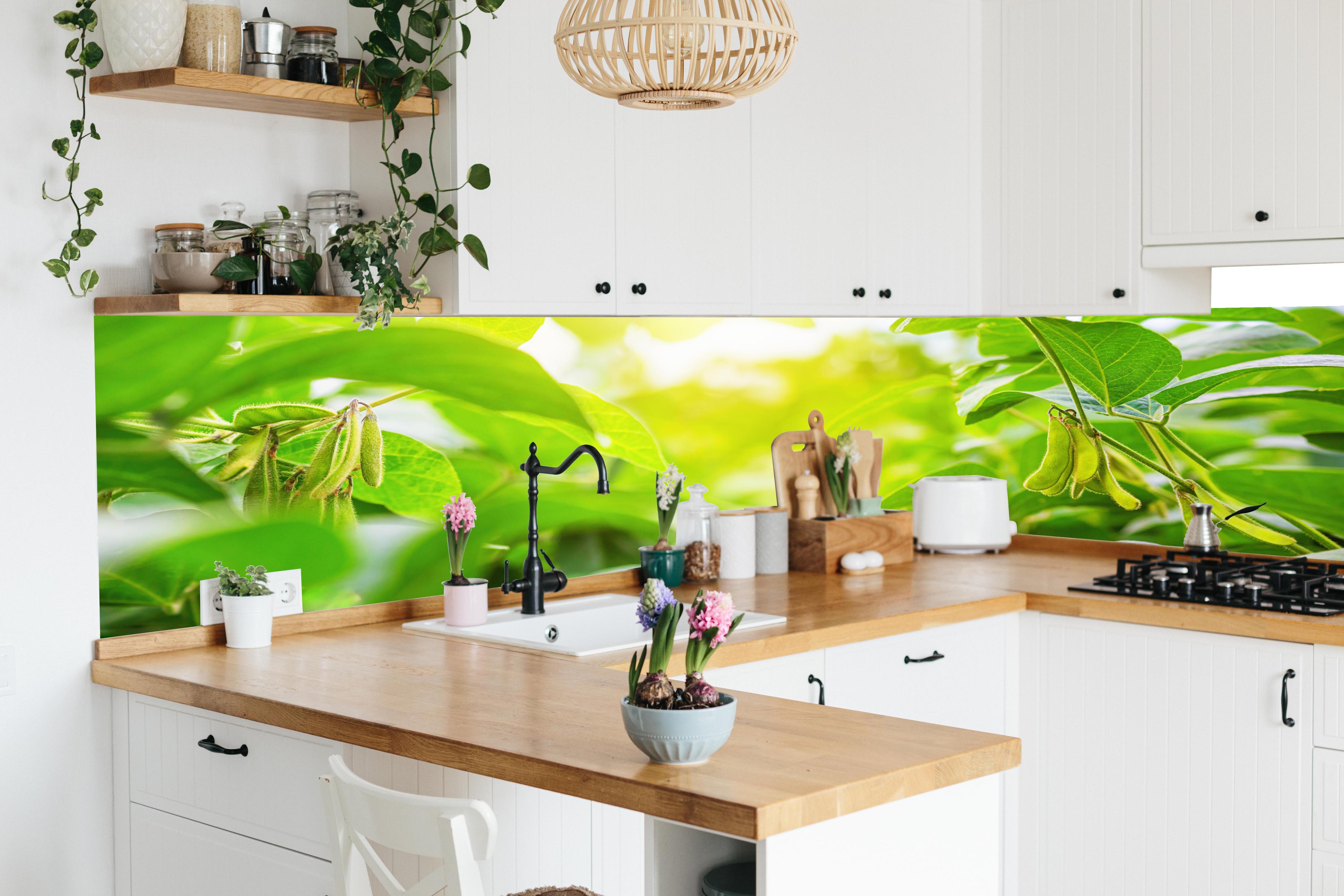 Küche - Grüne Kräuterpflanze im Sonnenlicht in lebendiger Küche mit bunten Blumen