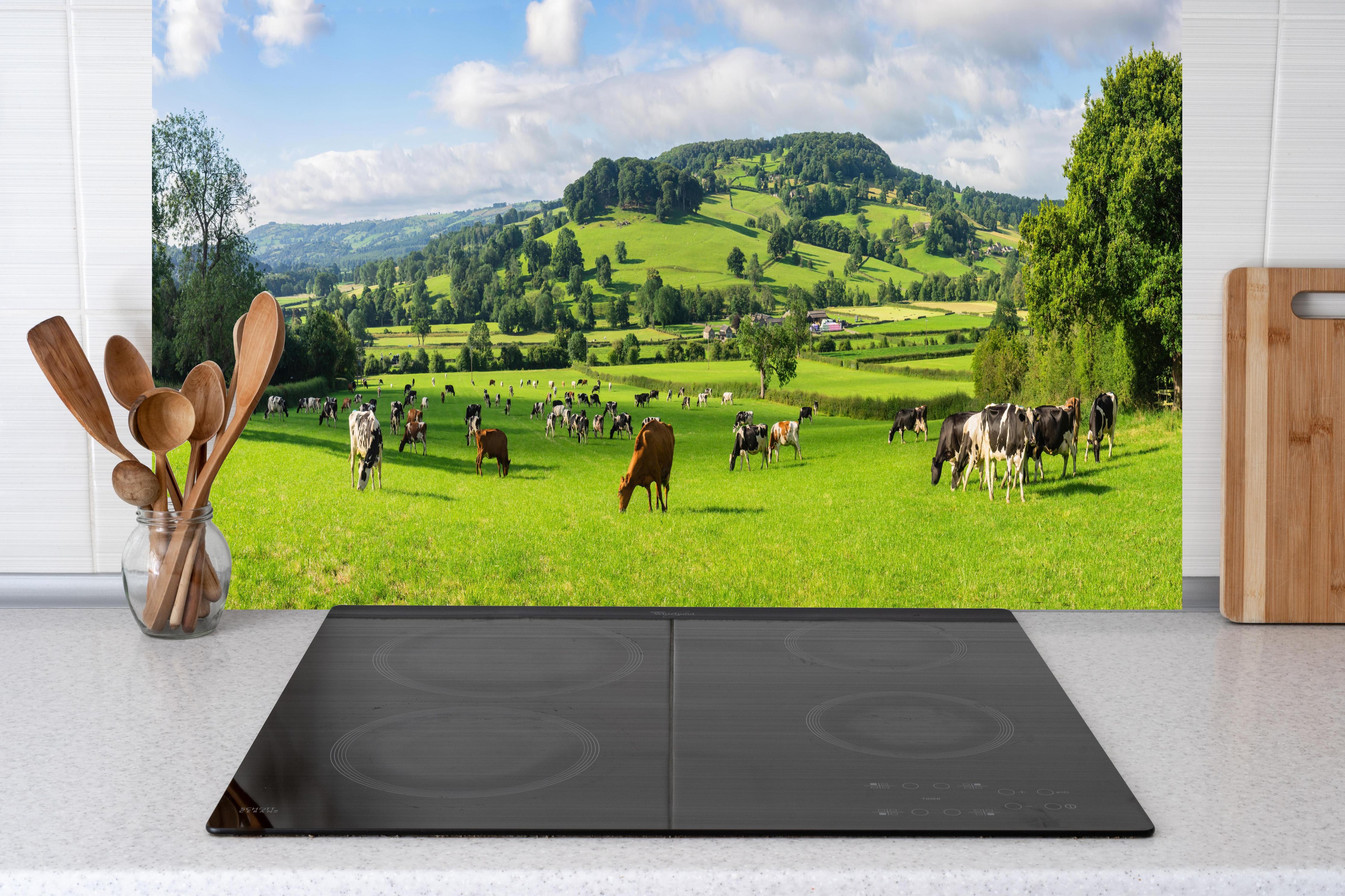 Küche - Grüne Weide mit Kühen hinter Cerankochfeld und Holz-Kochutensilien