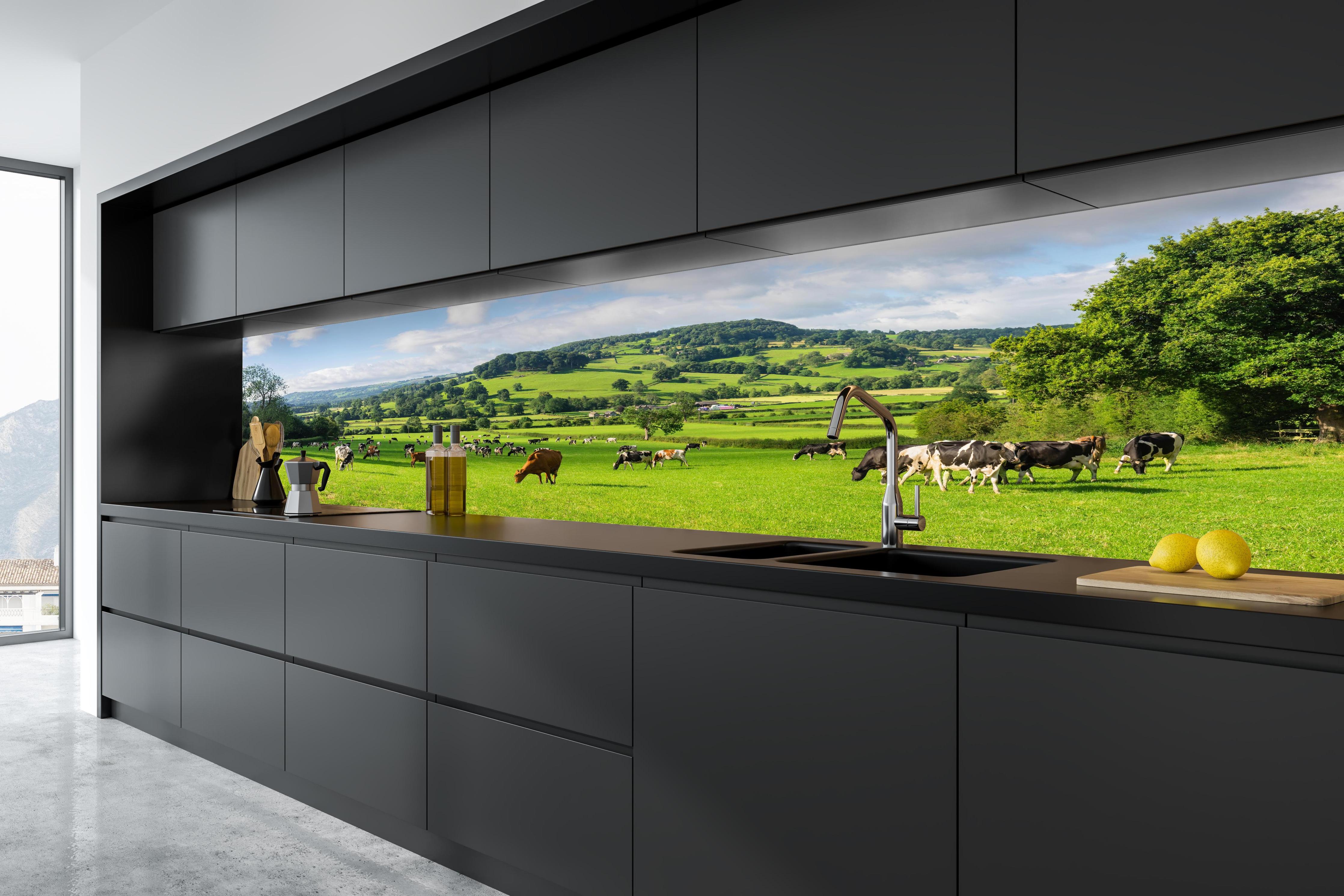 Küche - Grüne Weide mit Kühen in tiefschwarzer matt-premium Einbauküche