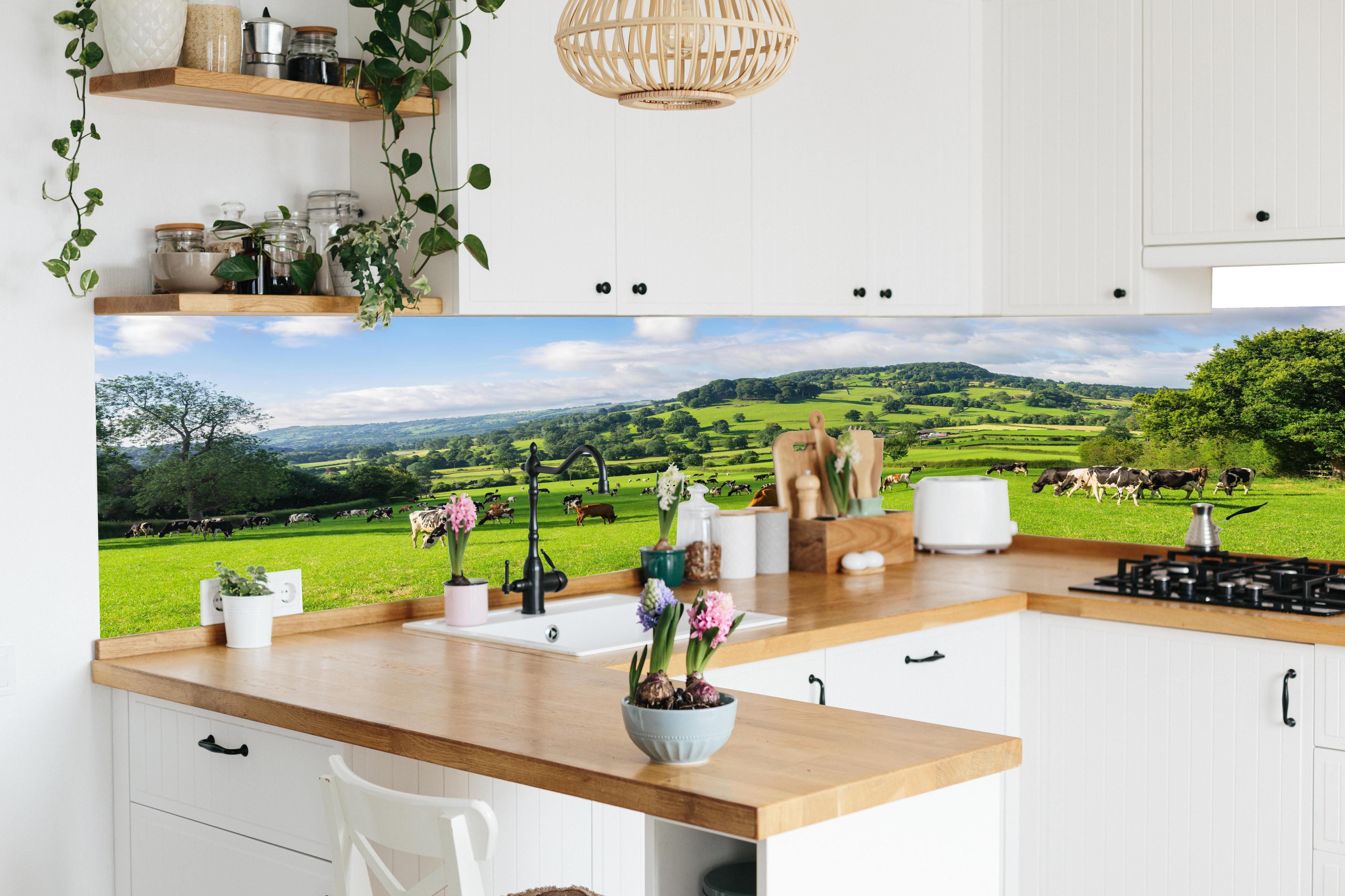 Küche - Grüne Weide mit Kühen in lebendiger Küche mit bunten Blumen