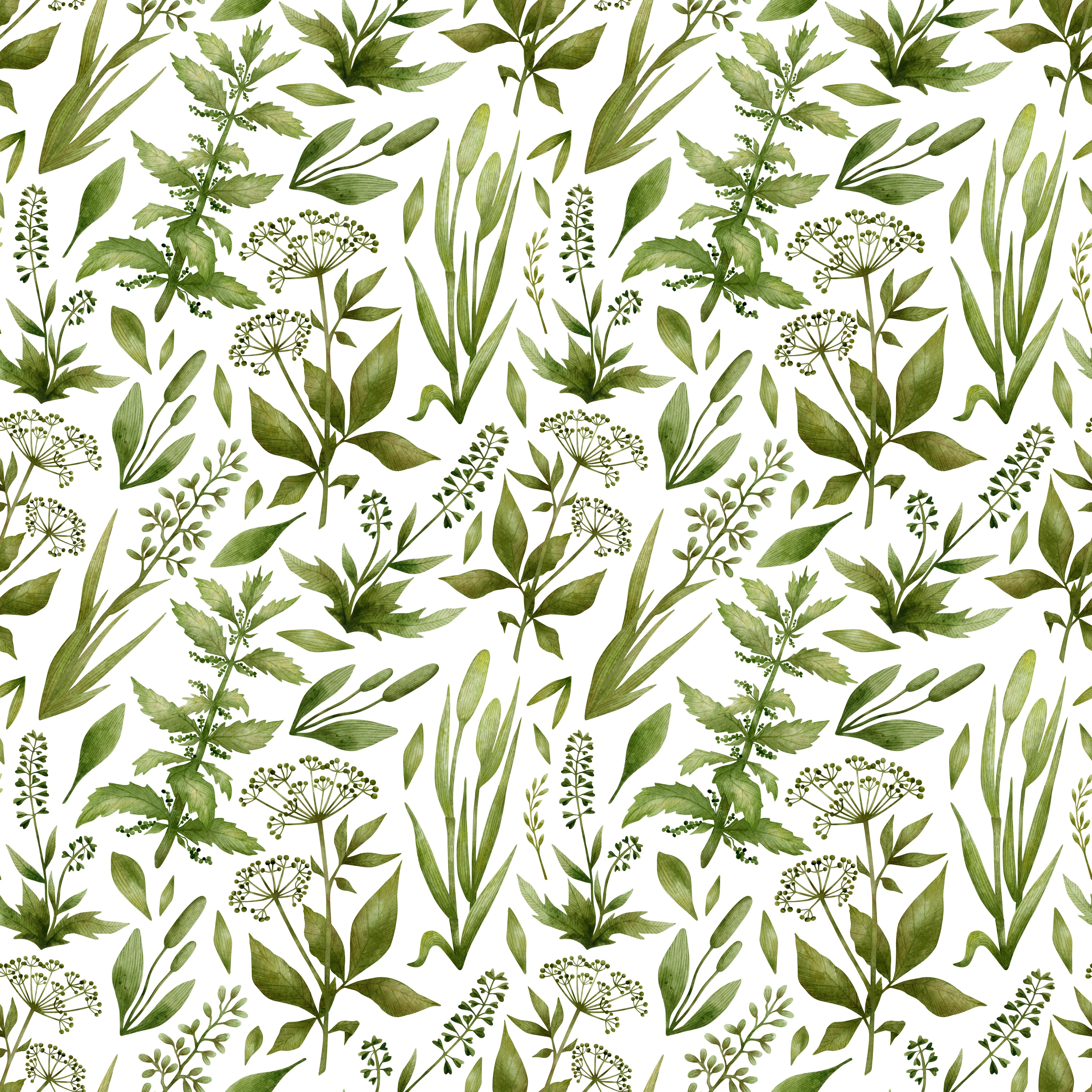 Küchenrückwand-Grünes Kräuter-Aquarell-Muster