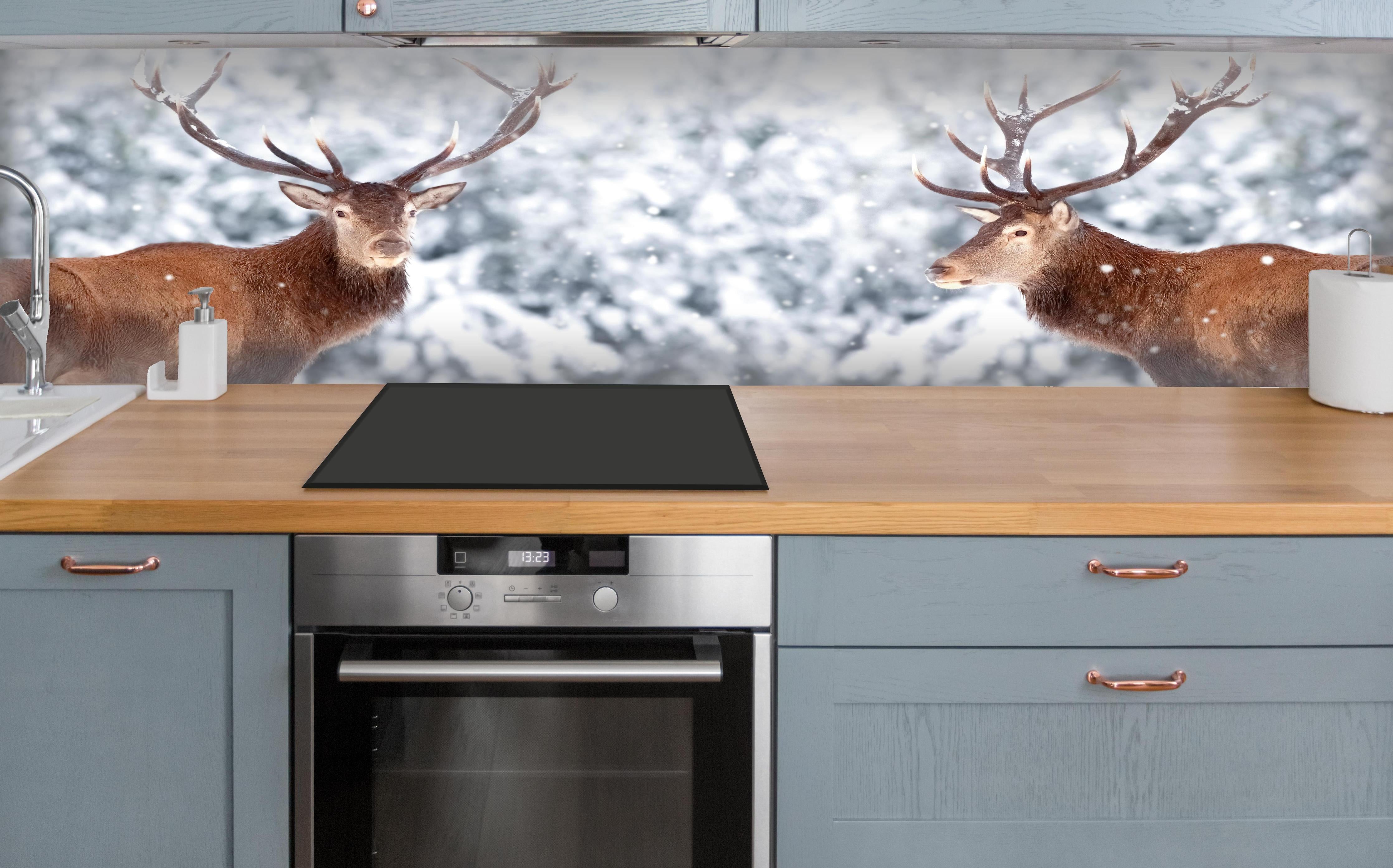 Küche - Hirsch-Paar im Winterwald über polierter Holzarbeitsplatte mit Cerankochfeld