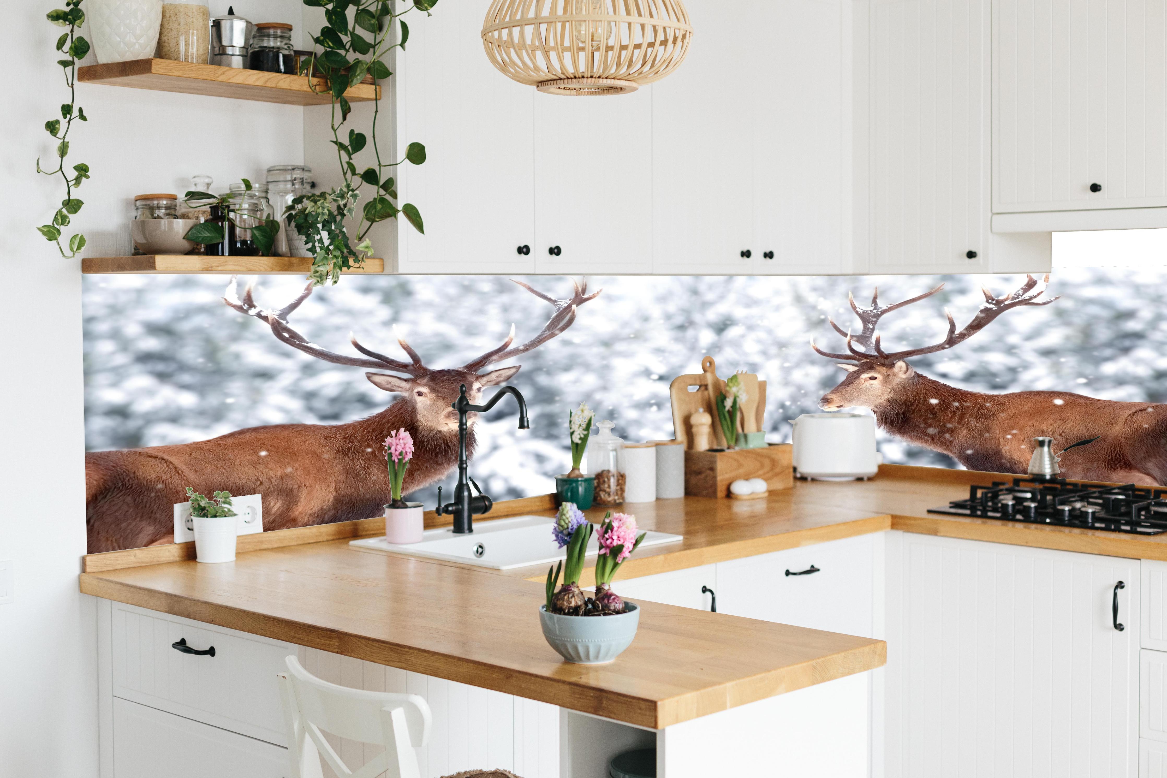 Küche - Hirsch-Paar im Winterwald in lebendiger Küche mit bunten Blumen