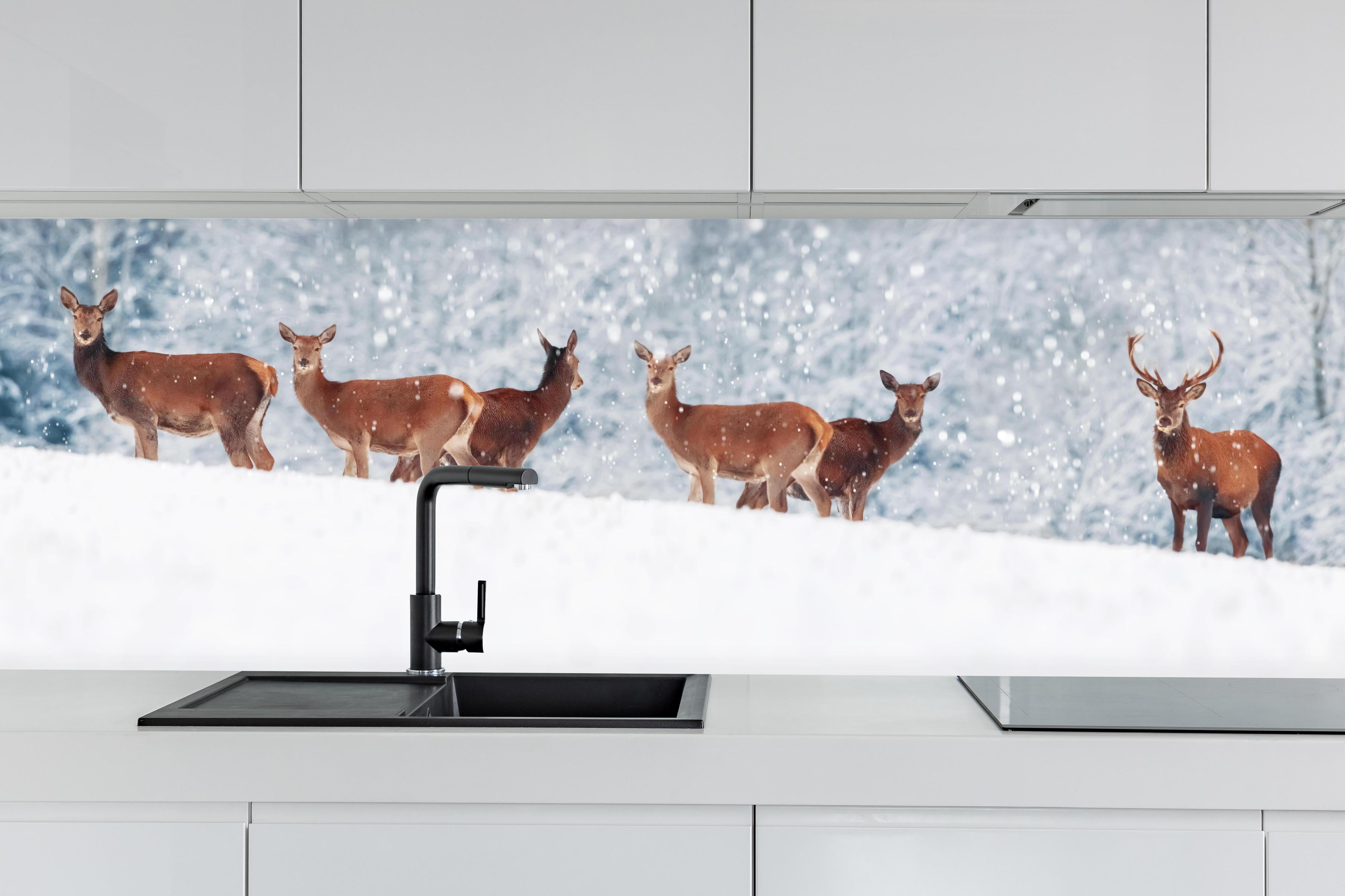 Küche - Hirsche im weißen Winterpanorama hinter weißen Hochglanz-Küchenregalen und schwarzem Wasserhahn