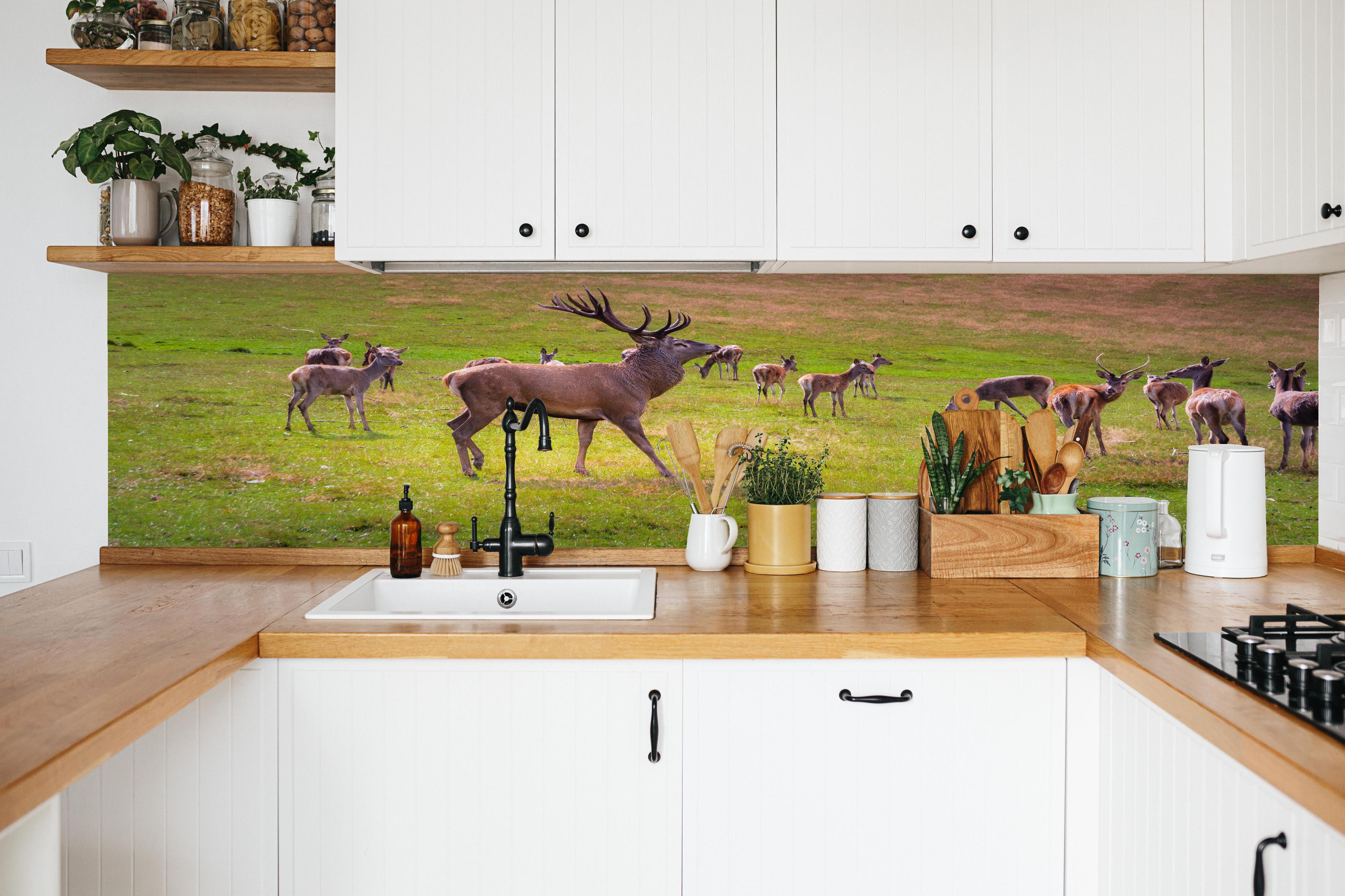 Küche - Hirschrudel auf grüner Wiese in weißer Küche hinter Gewürzen und Kochlöffeln aus Holz