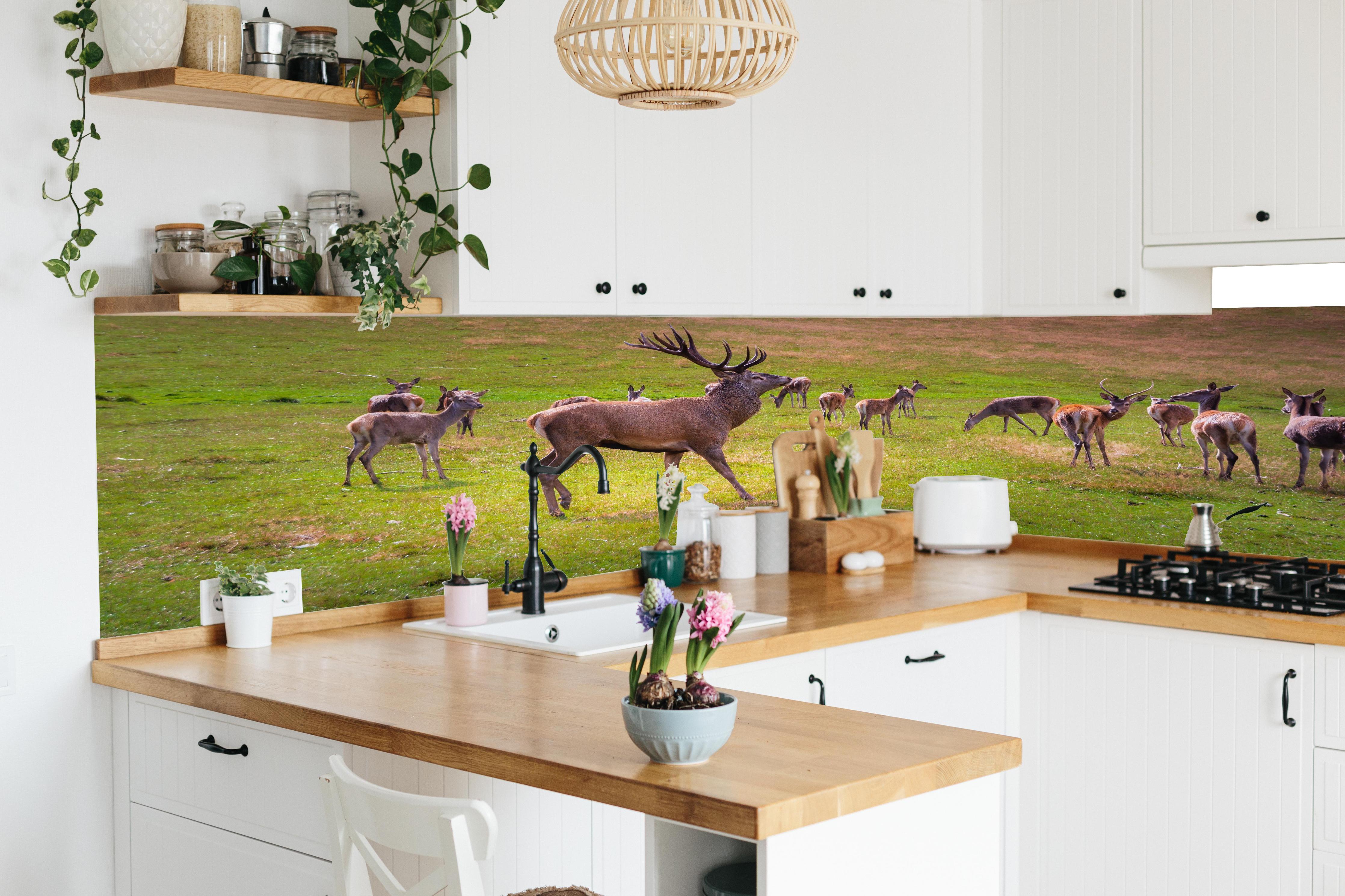 Küche - Hirschrudel auf grüner Wiese in lebendiger Küche mit bunten Blumen