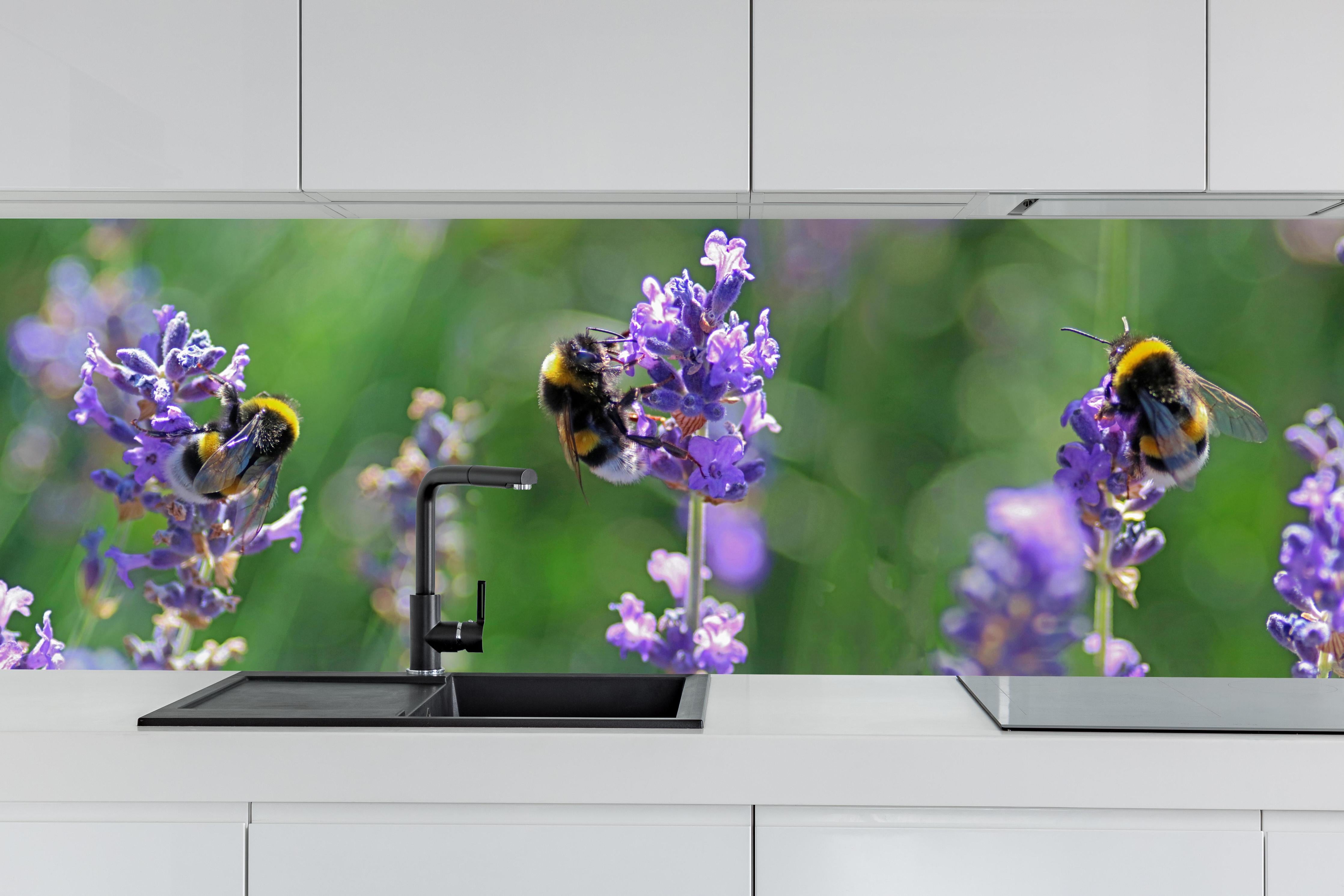 Küche - Lavendelblüten mit Hummeln hinter weißen Hochglanz-Küchenregalen und schwarzem Wasserhahn