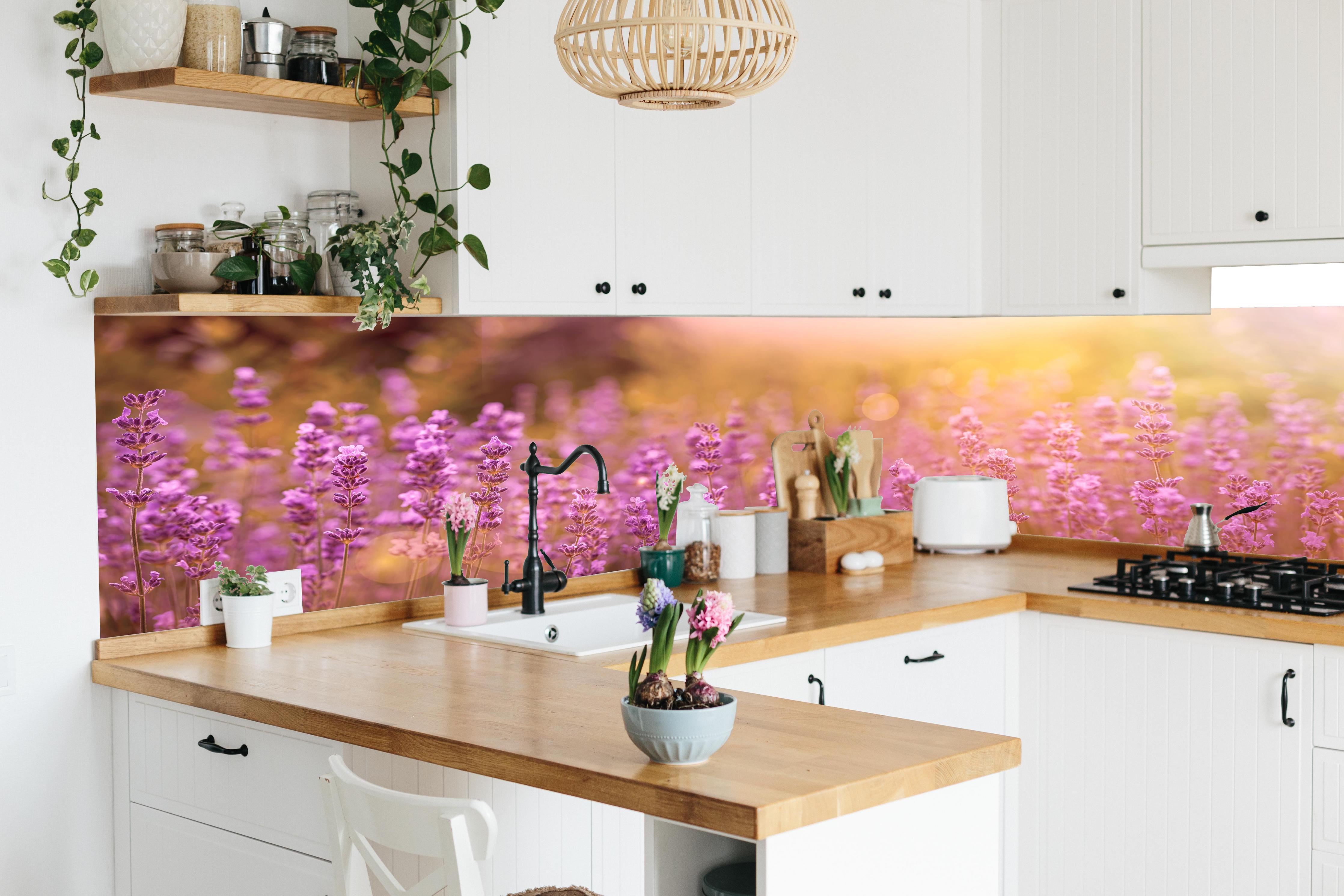 Küche - Lavendelfeld im warmen Abendlicht in lebendiger Küche mit bunten Blumen