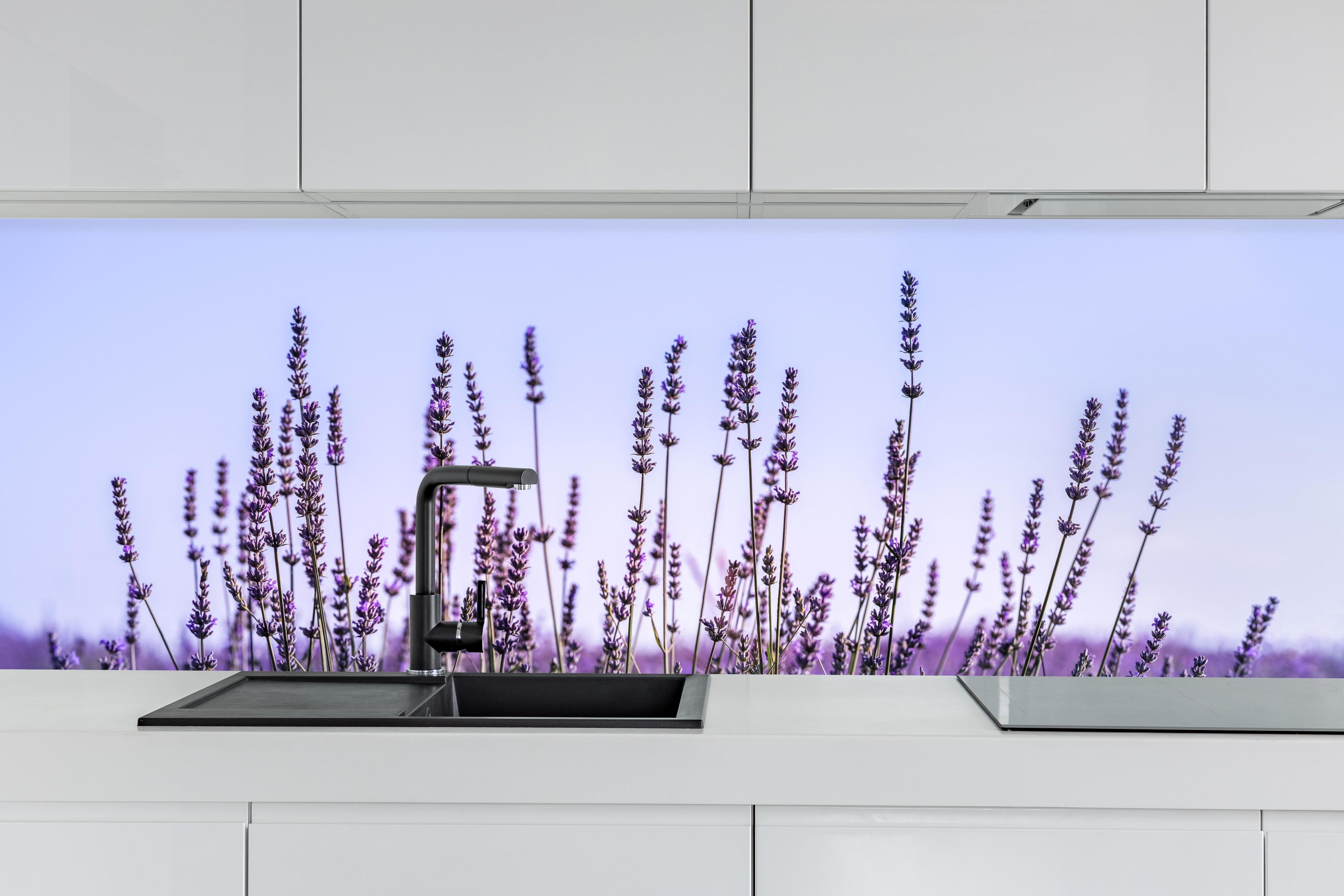 Küche - Lavendelfeld in Lila-Blau hinter weißen Hochglanz-Küchenregalen und schwarzem Wasserhahn