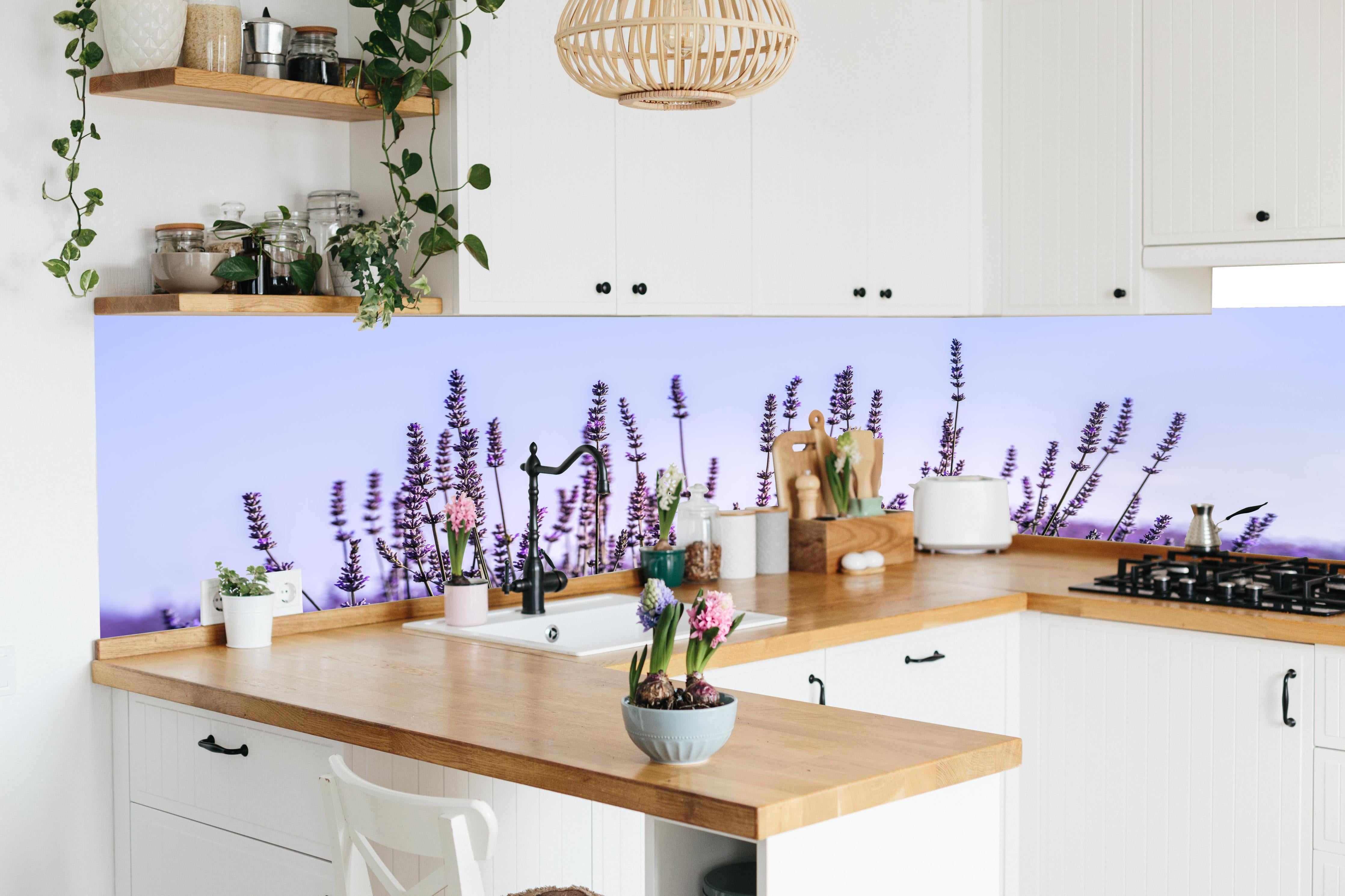 Küche - Lavendelfeld in Lila-Blau in lebendiger Küche mit bunten Blumen