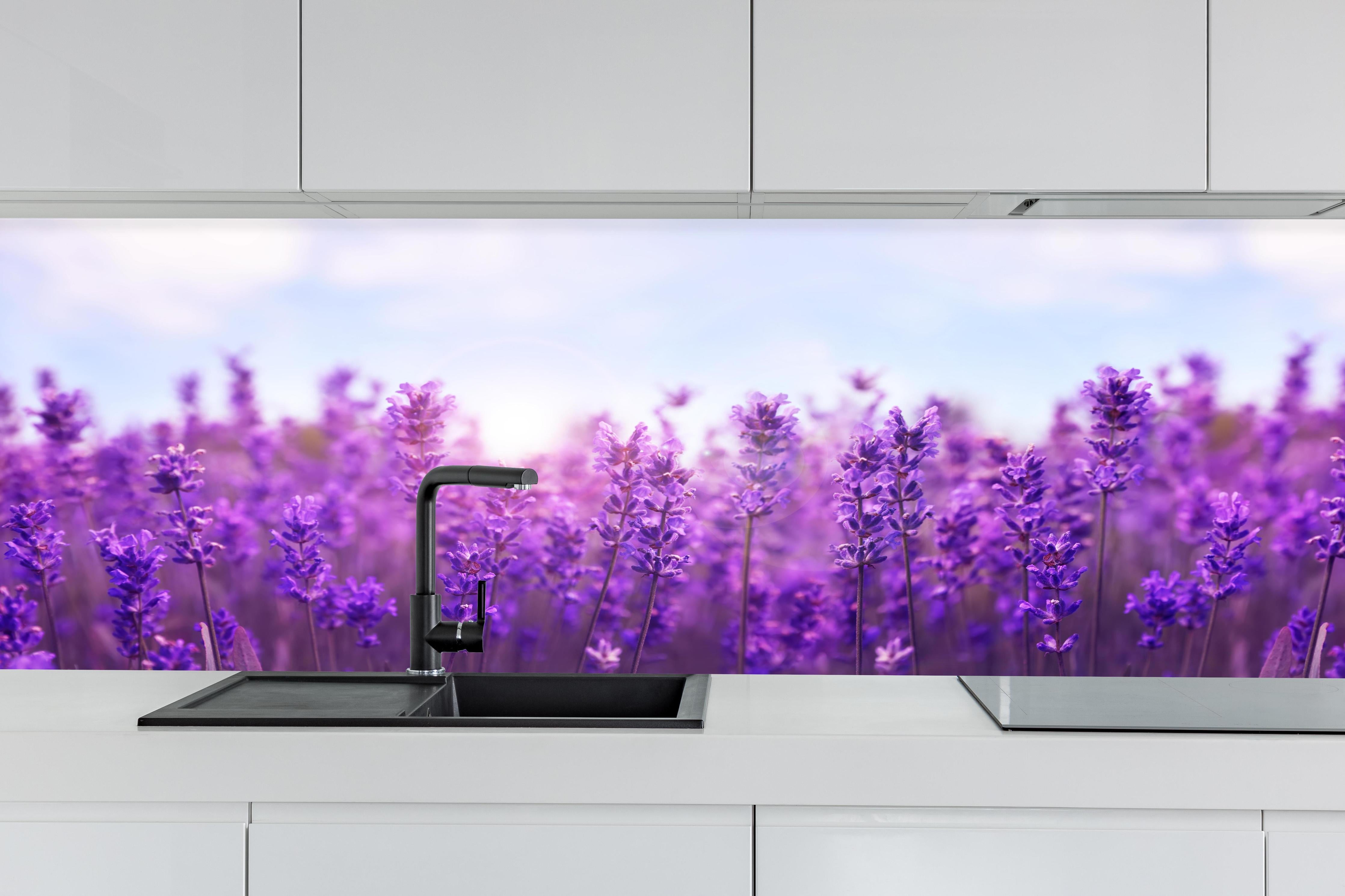 Küche - Lavendelfeld in Lila hinter weißen Hochglanz-Küchenregalen und schwarzem Wasserhahn