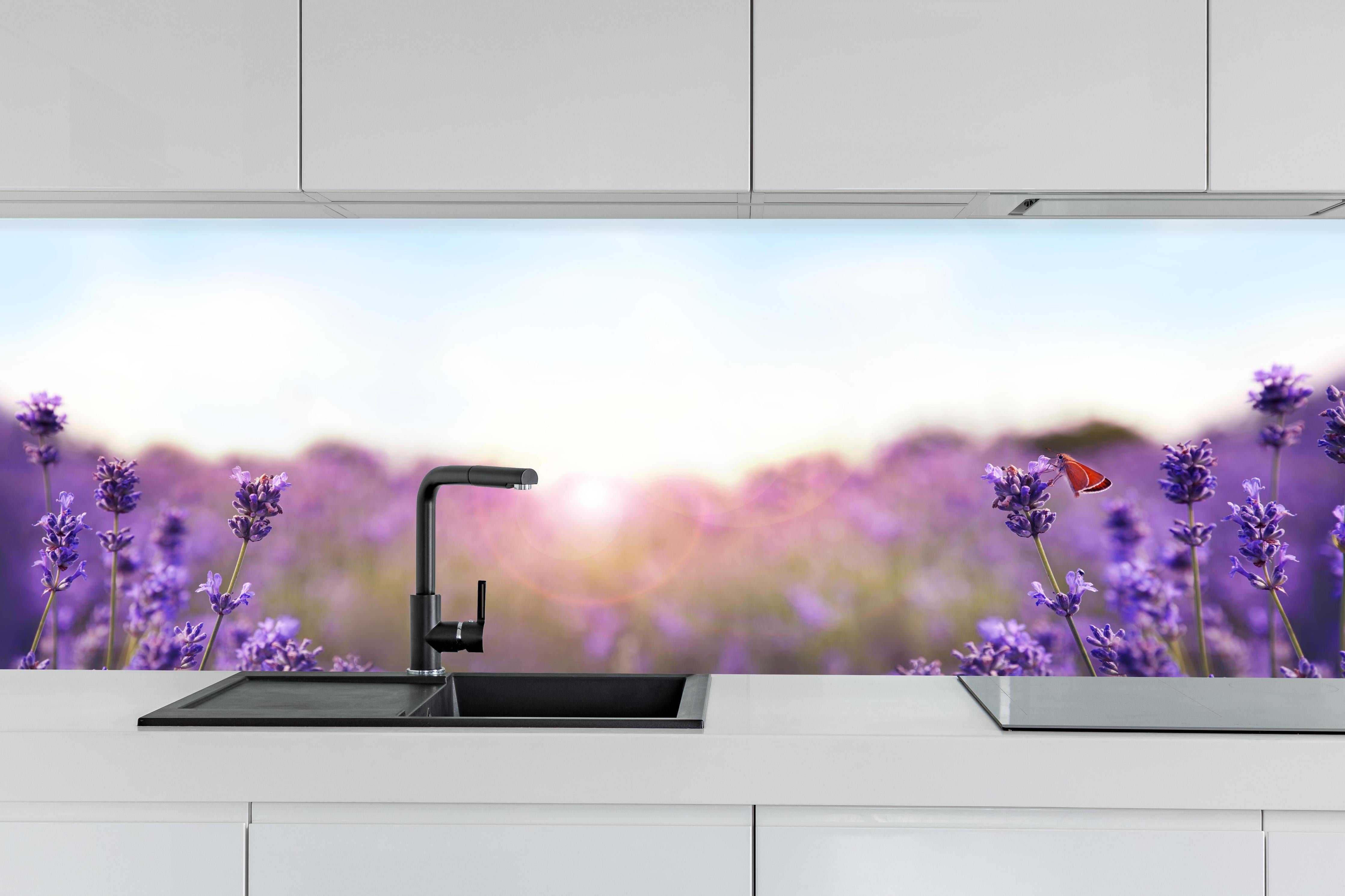 Küche - Lila Lavendelfeld im Morgenlicht hinter weißen Hochglanz-Küchenregalen und schwarzem Wasserhahn