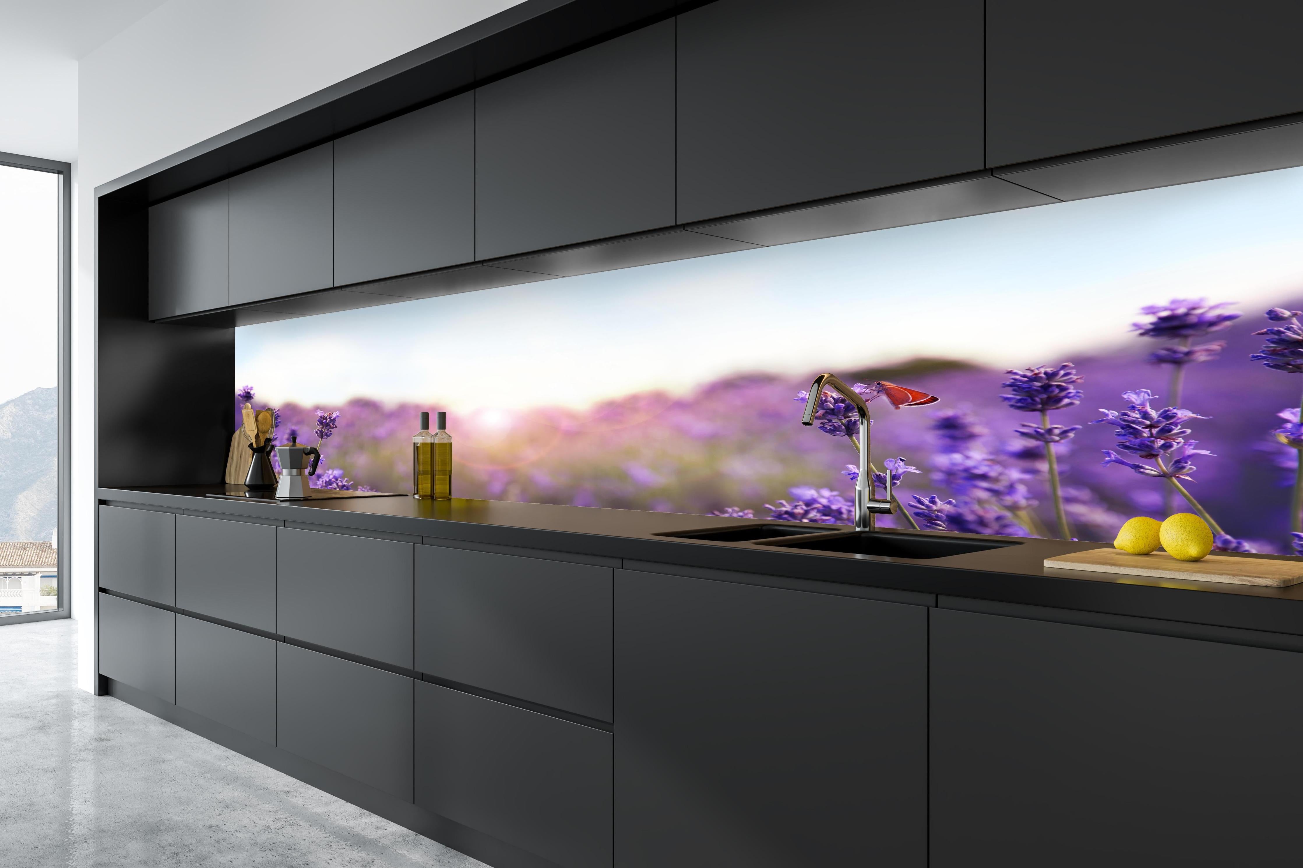 Küche - Lila Lavendelfeld im Morgenlicht in tiefschwarzer matt-premium Einbauküche
