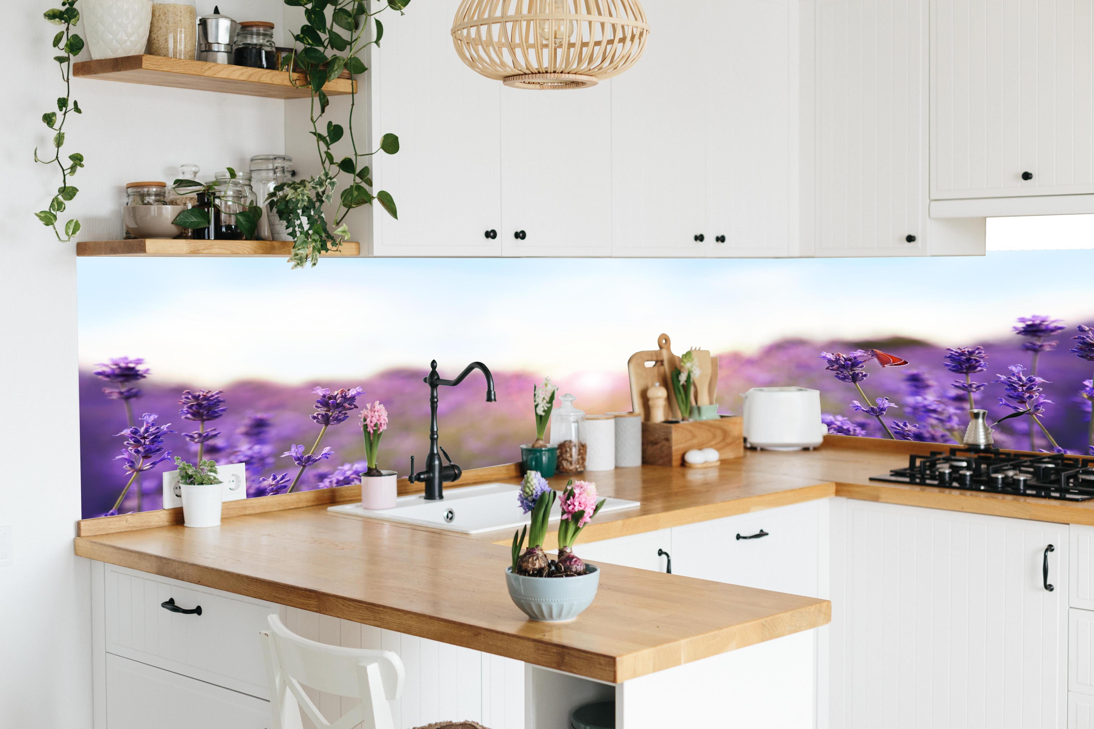 Küche - Lila Lavendelfeld im Morgenlicht in lebendiger Küche mit bunten Blumen