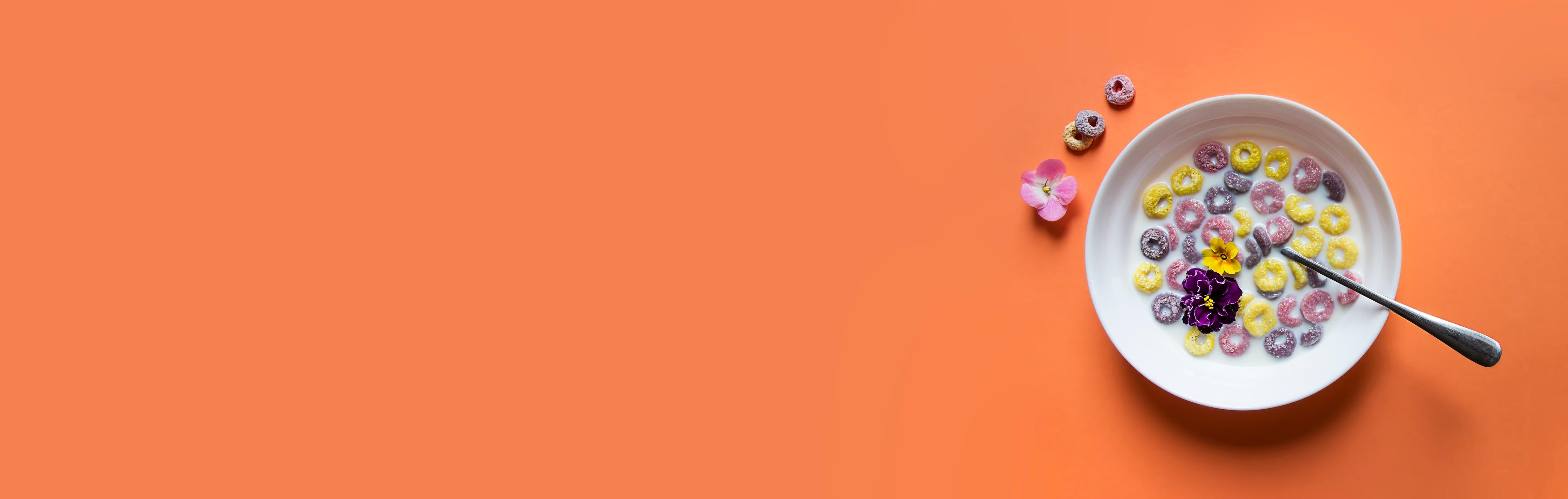 Küchenrückwand-Orange Frühstücks-Bowl