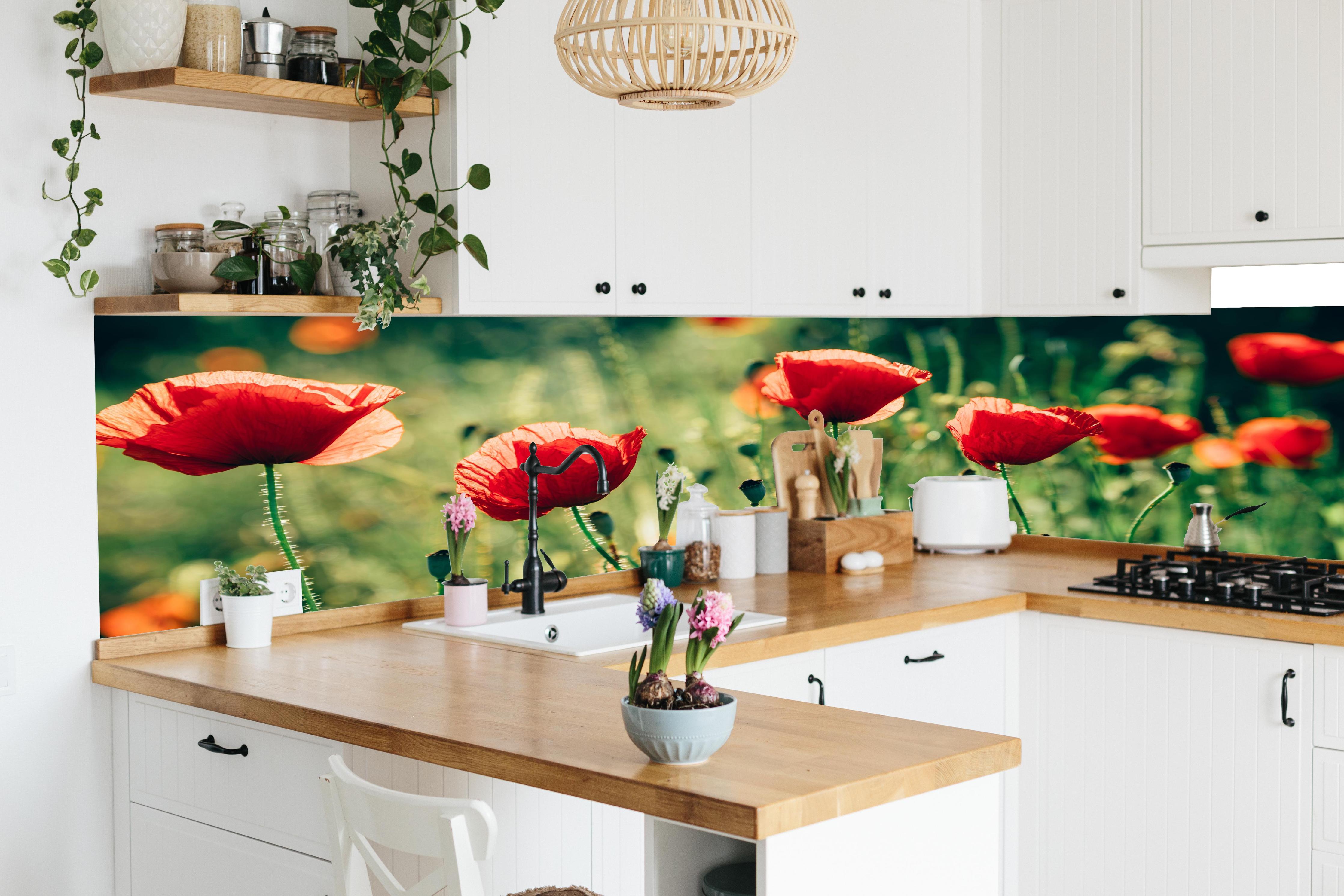 Küche - Rote Mohnblumen Sommerwiese in lebendiger Küche mit bunten Blumen