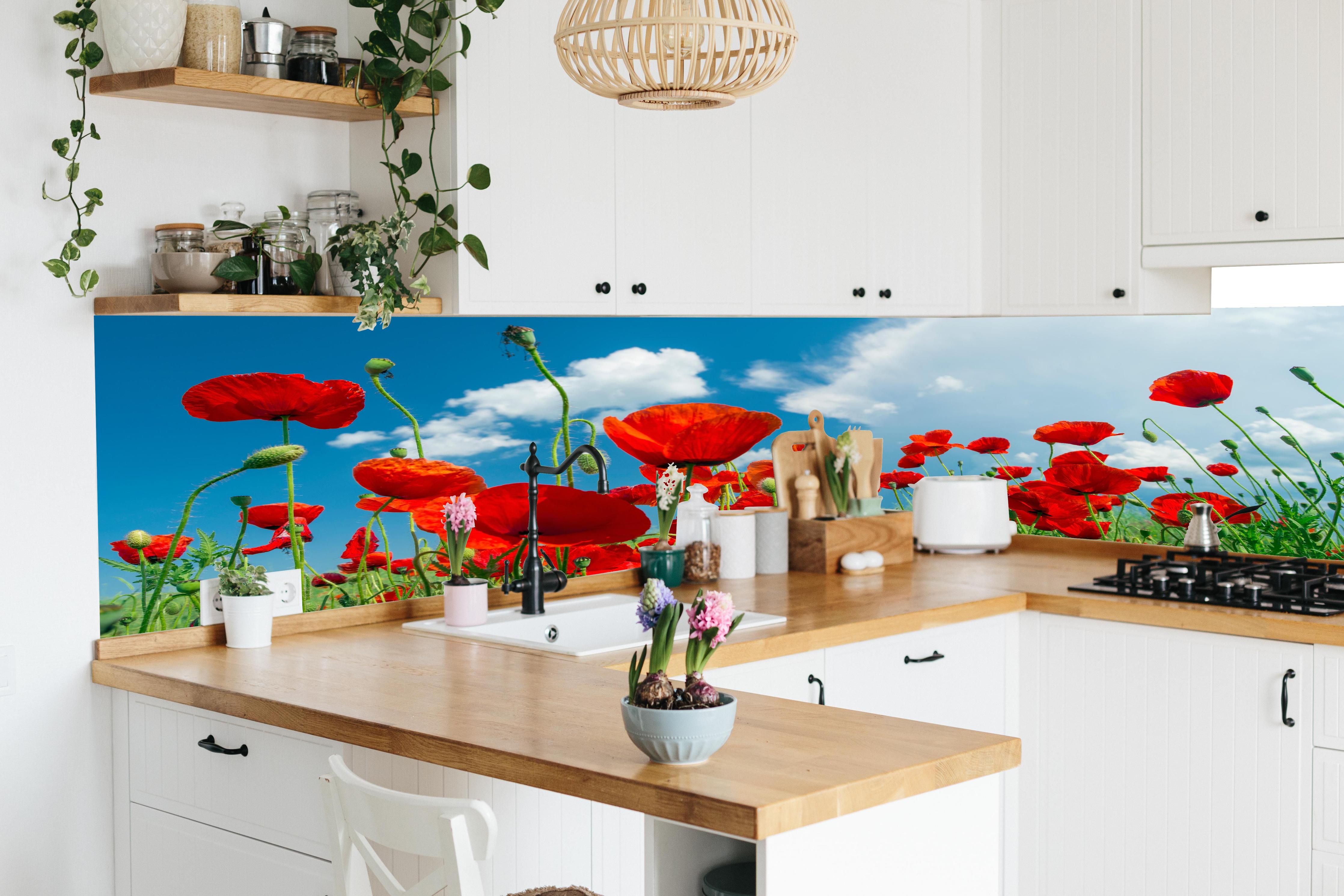 Küche - Rotes Mohnblumenfeld in lebendiger Küche mit bunten Blumen