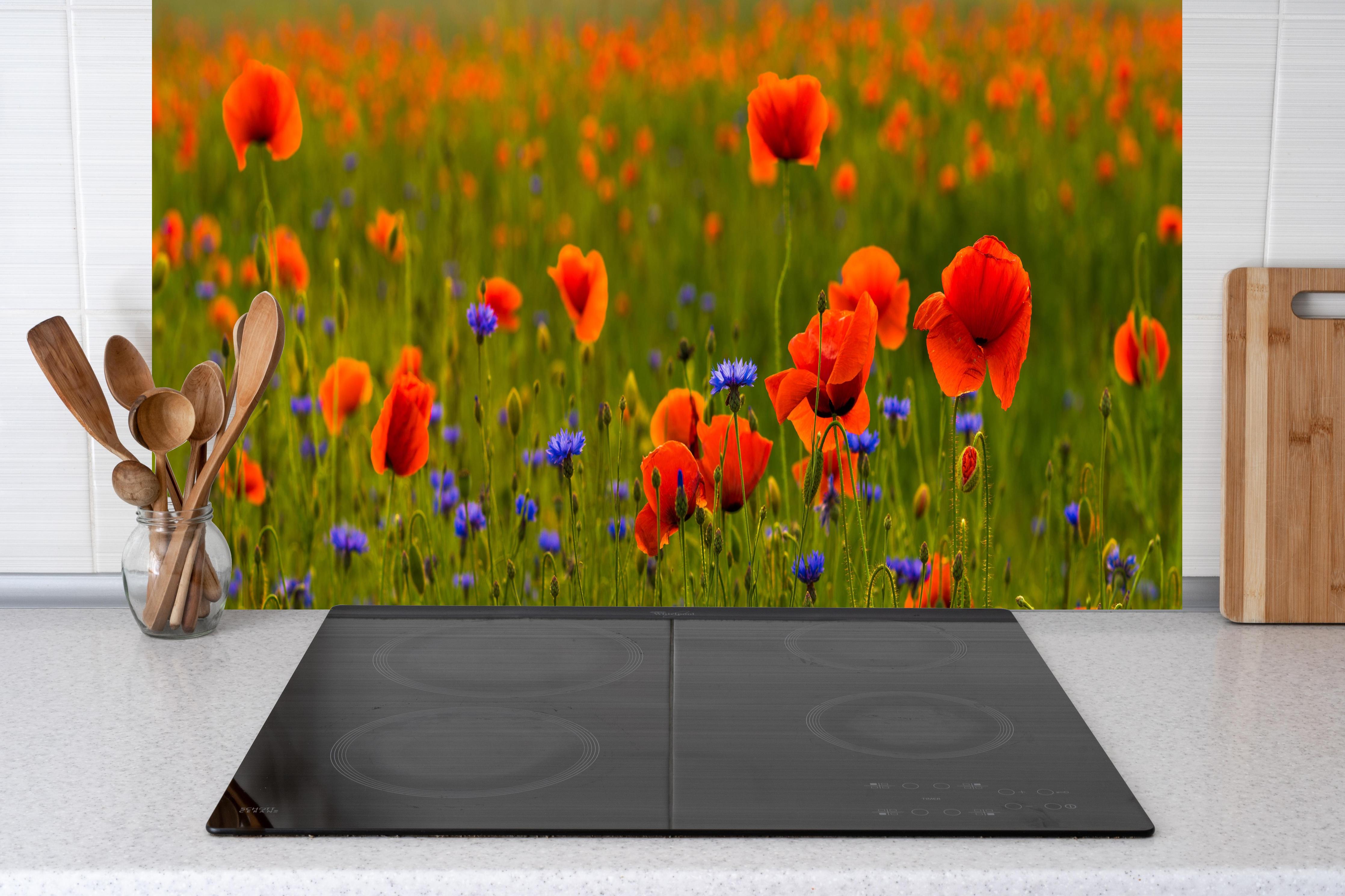 Küche - Rotes Mohnfeld mit Kornblumen hinter Cerankochfeld und Holz-Kochutensilien