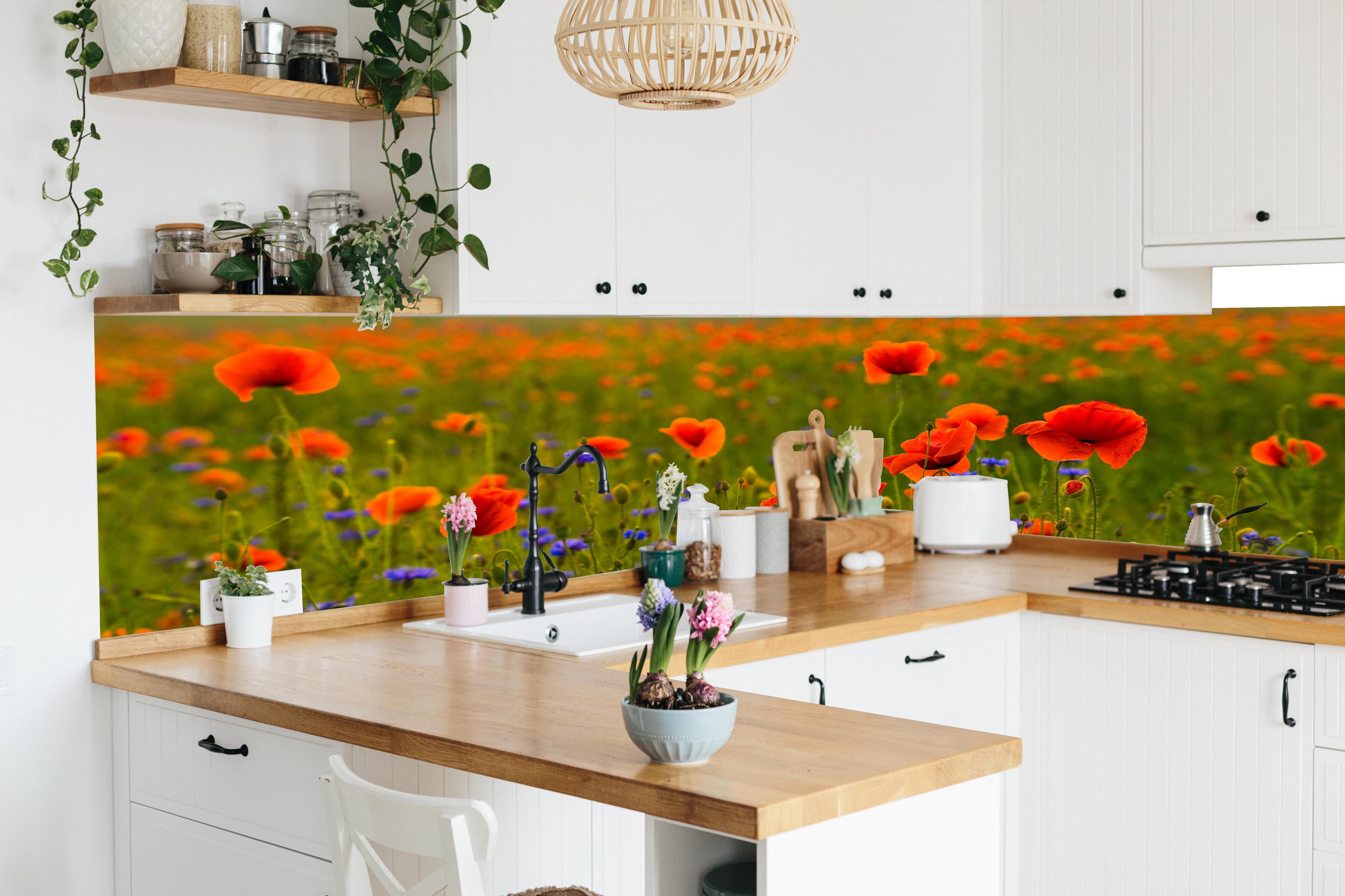Küche - Rotes Mohnfeld mit Kornblumen in lebendiger Küche mit bunten Blumen