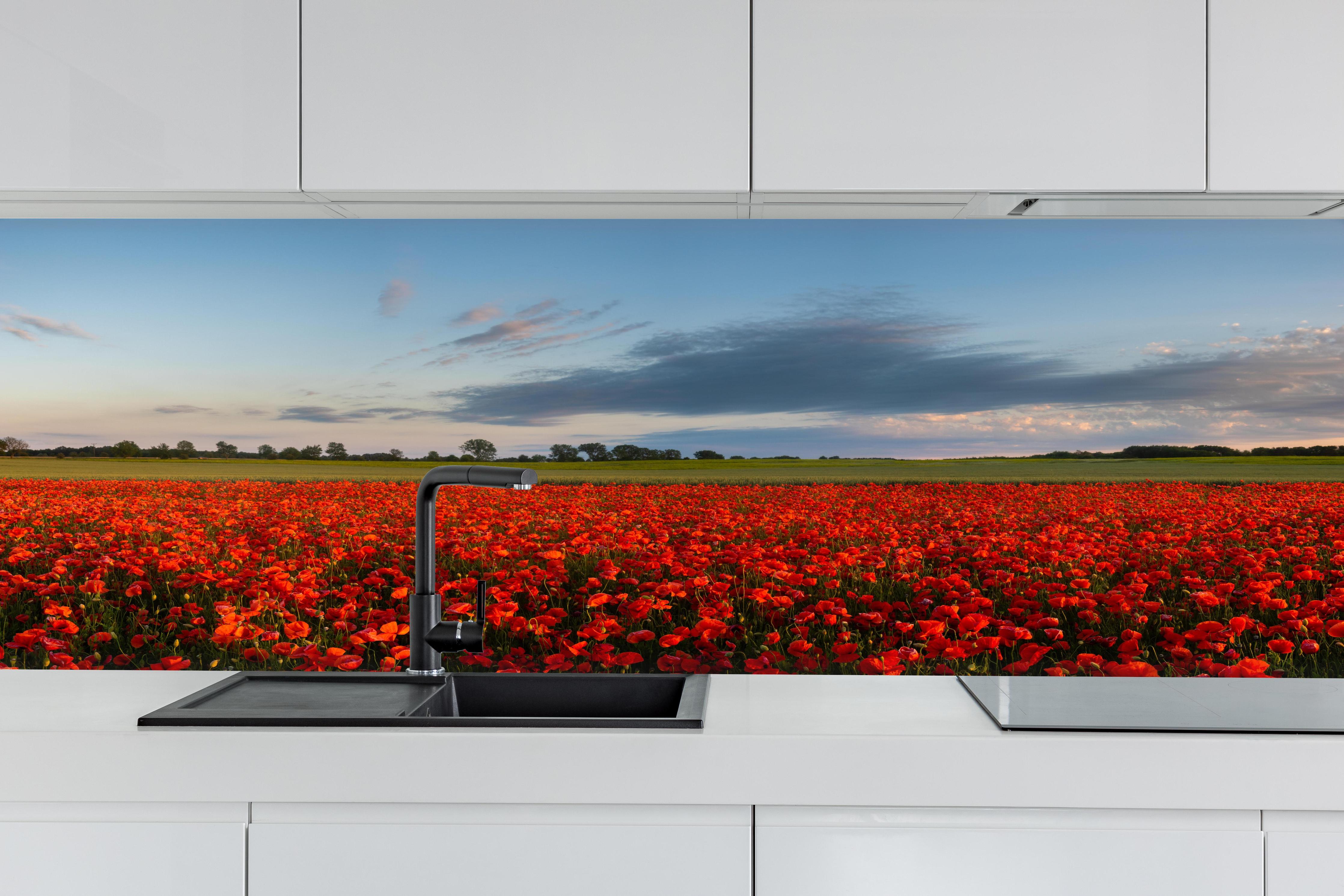 Küche - Rotes Mohnfeld unter blauem Himmel hinter weißen Hochglanz-Küchenregalen und schwarzem Wasserhahn