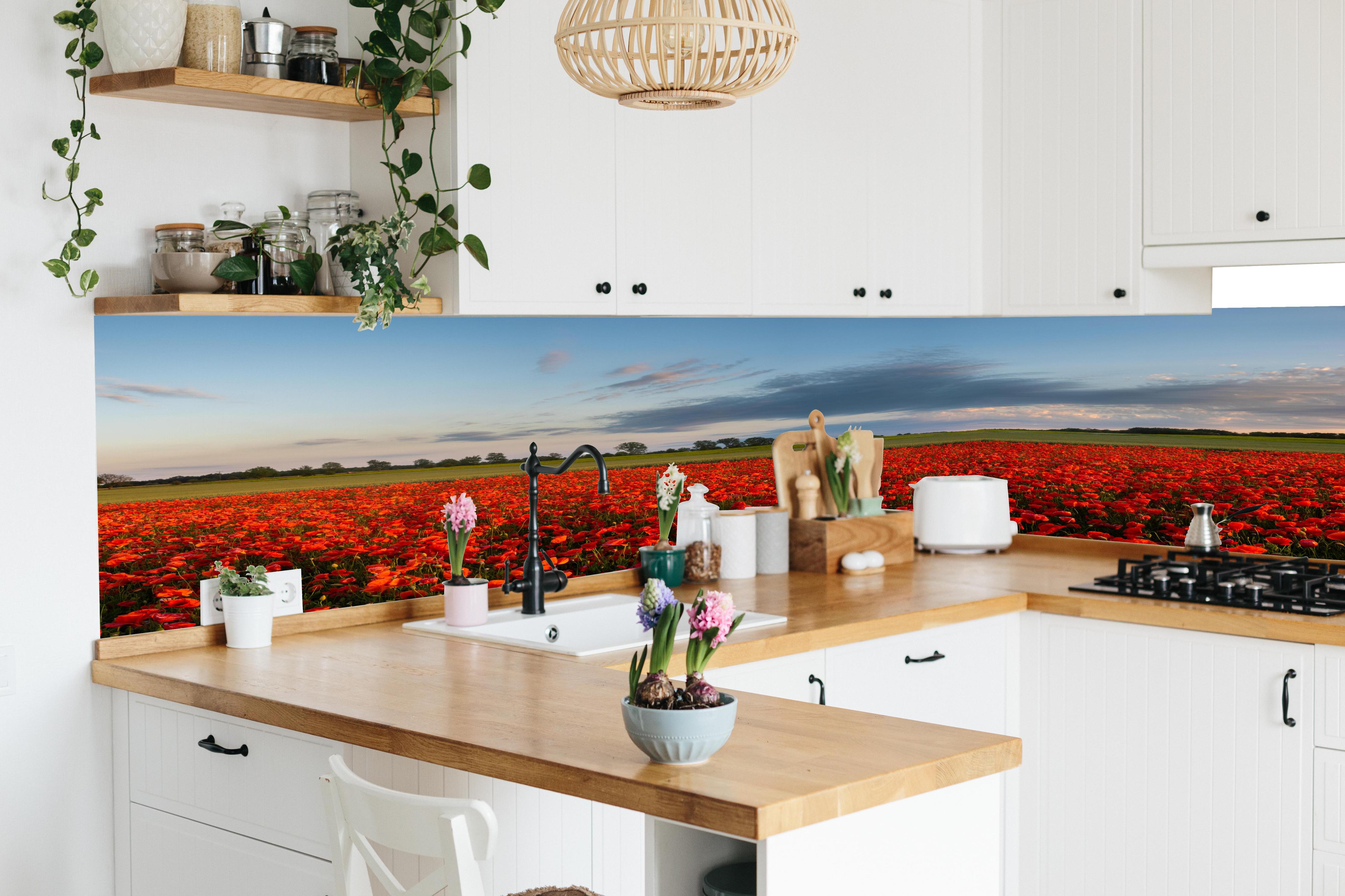 Küche - Rotes Mohnfeld unter blauem Himmel in lebendiger Küche mit bunten Blumen