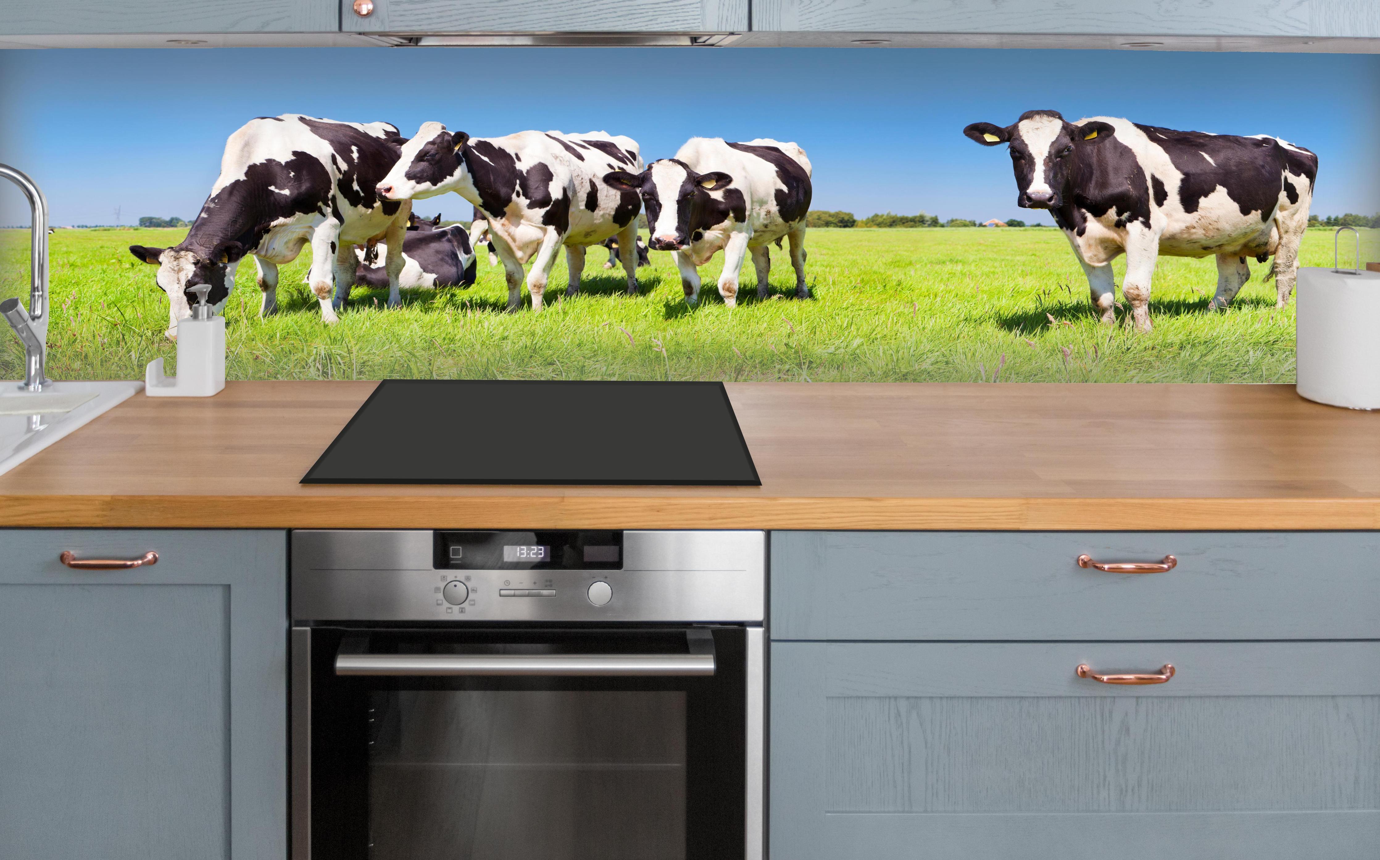 Küche - Schwarz-Weiß-Kühe auf grüner Weide über polierter Holzarbeitsplatte mit Cerankochfeld