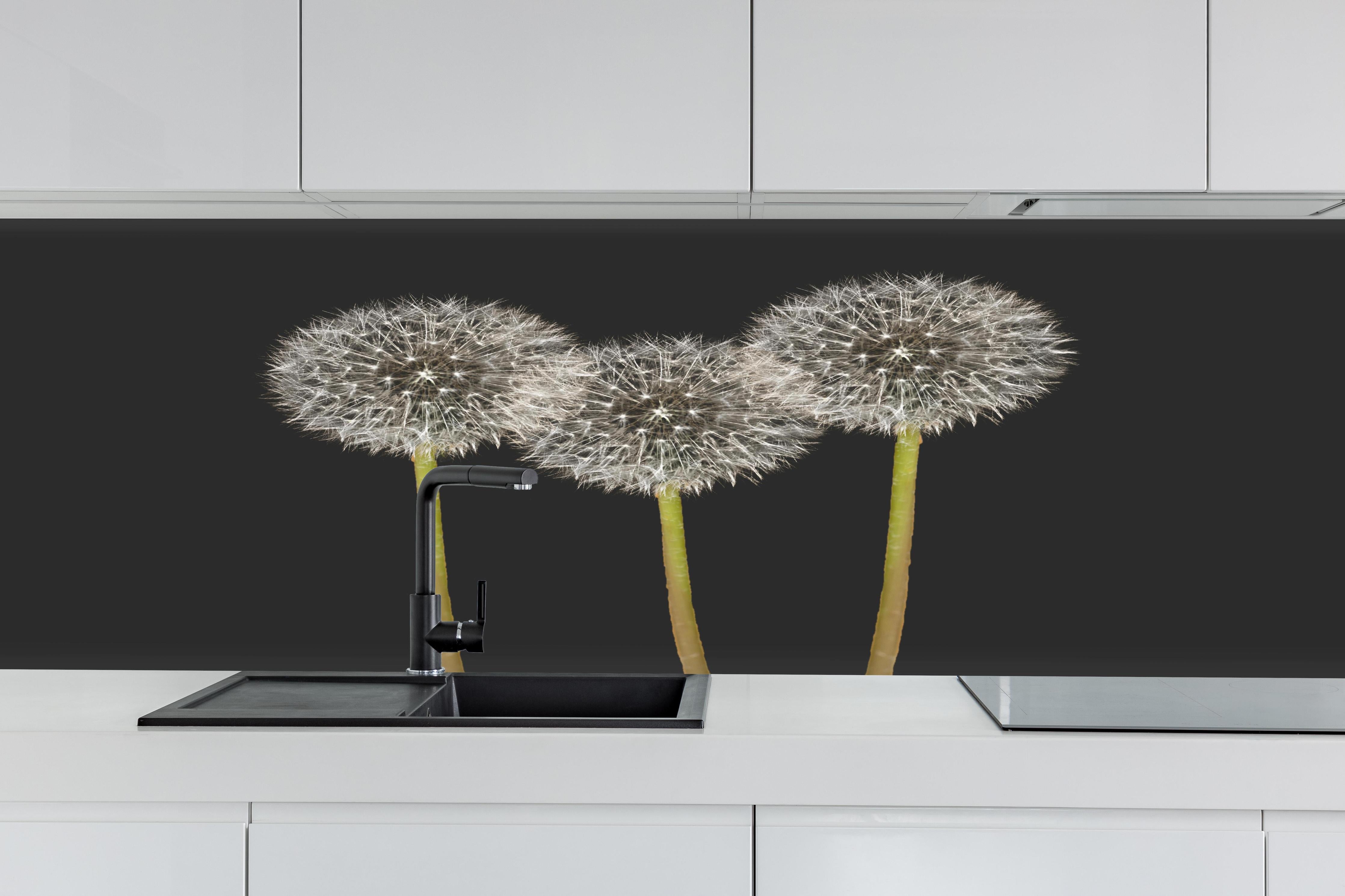 Küche - Weiße Pusteblumen auf Schwarz hinter weißen Hochglanz-Küchenregalen und schwarzem Wasserhahn