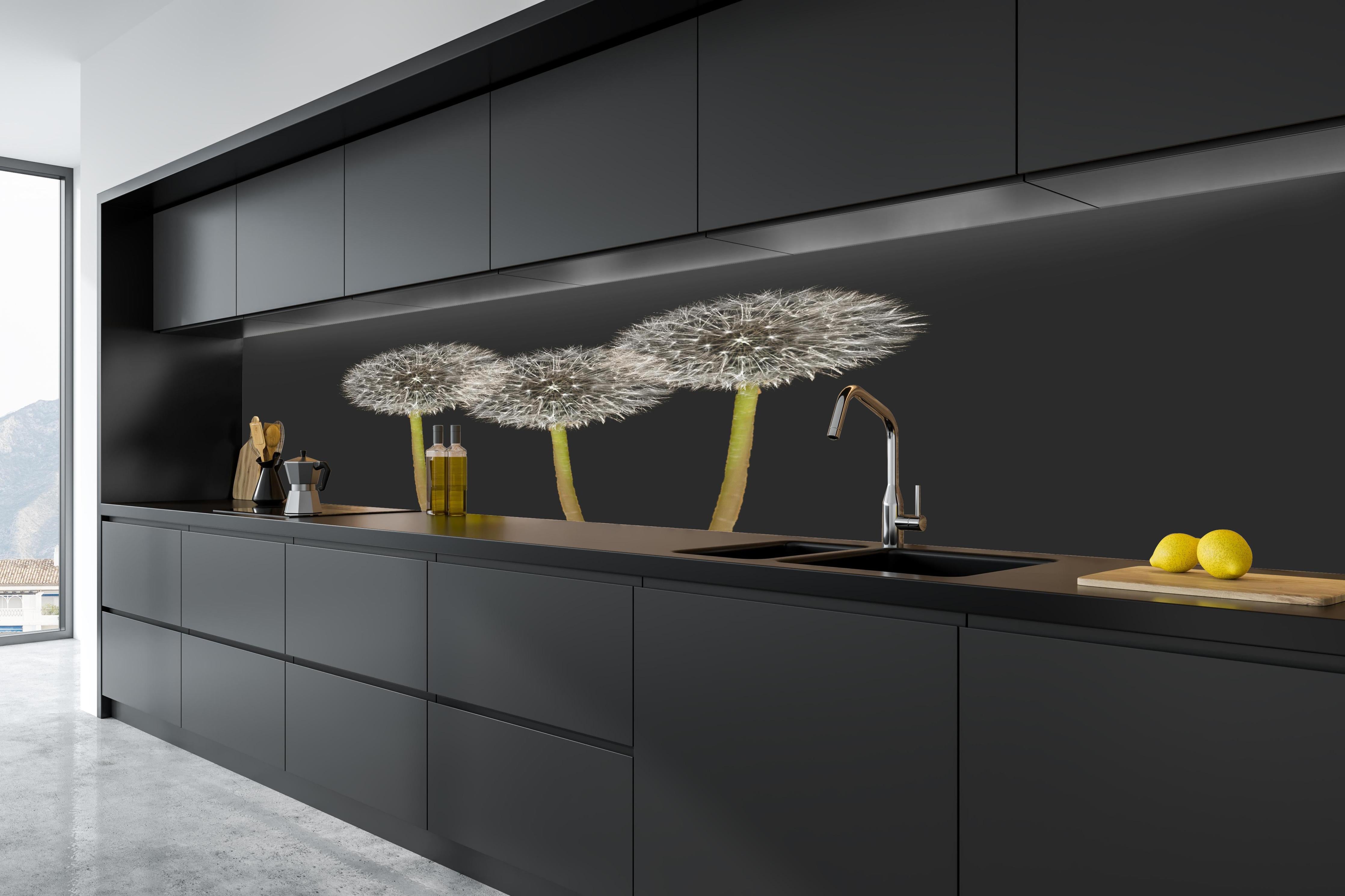 Küche - Weiße Pusteblumen auf Schwarz in tiefschwarzer matt-premium Einbauküche